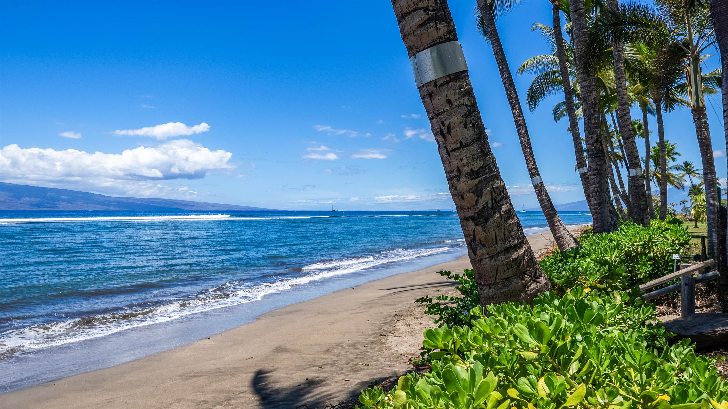 Lahaina Shores condo # PH 4, Lahaina, Hawaii - photo 35 of 38