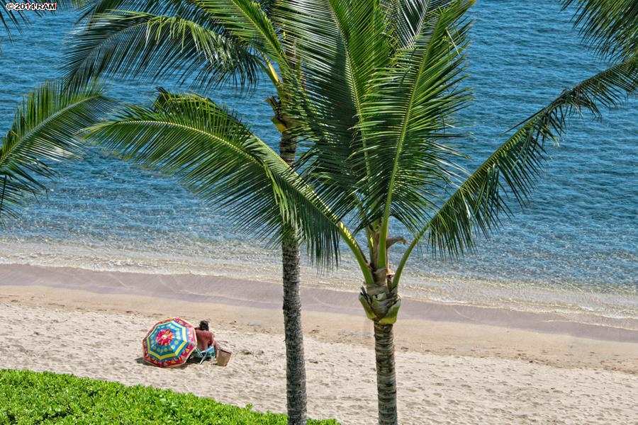 Lahaina Shores condo # 637, Lahaina, Hawaii - photo 2 of 30