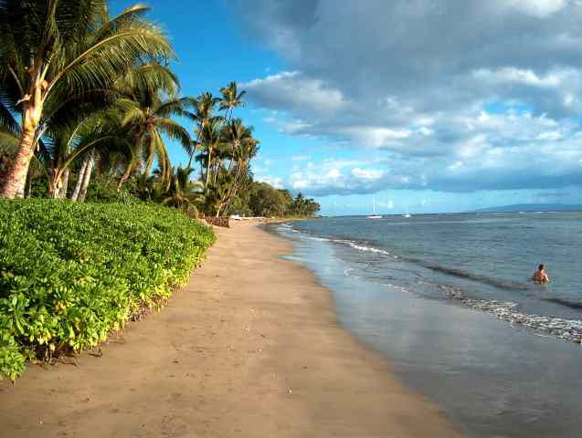 Lahaina Shores condo # 637, Lahaina, Hawaii - photo 22 of 30