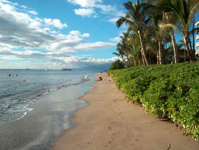 Lahaina Shores condo # 637, Lahaina, Hawaii - photo 23 of 30