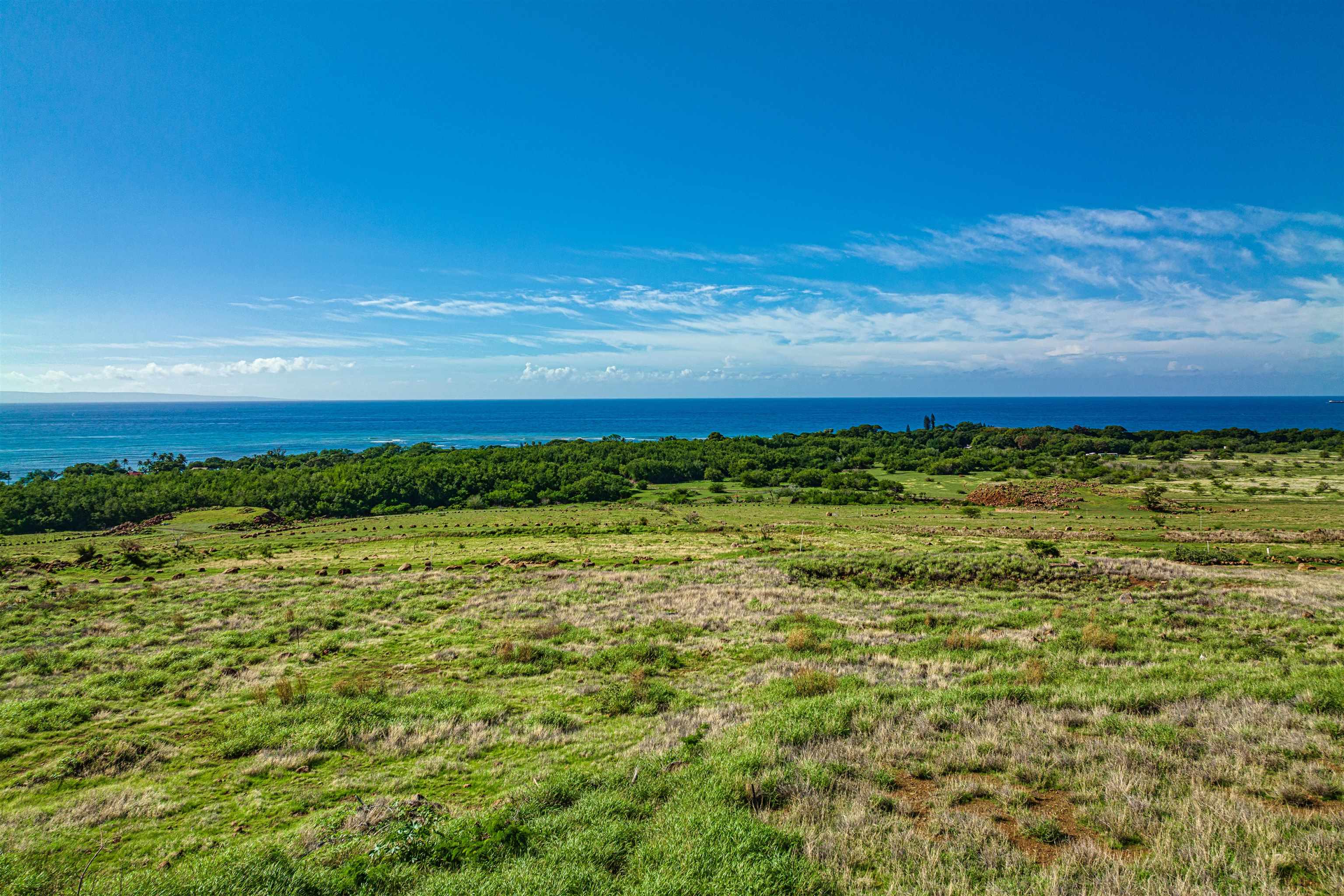 479 Luawai St A Lahaina, Hi vacant land for sale - photo 11 of 30