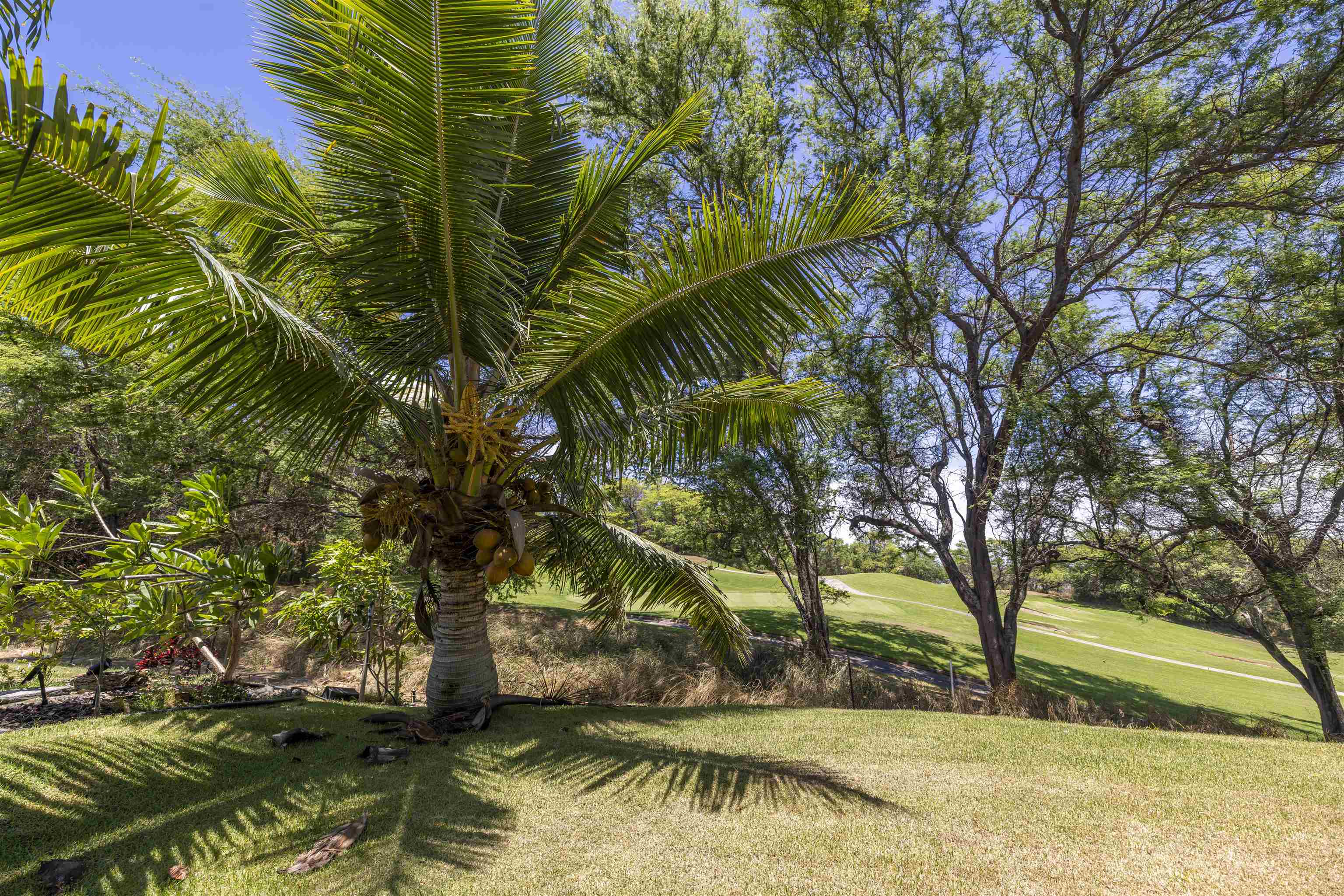 48  Lalaha Pl Kahului, Kahului home - photo 37 of 41