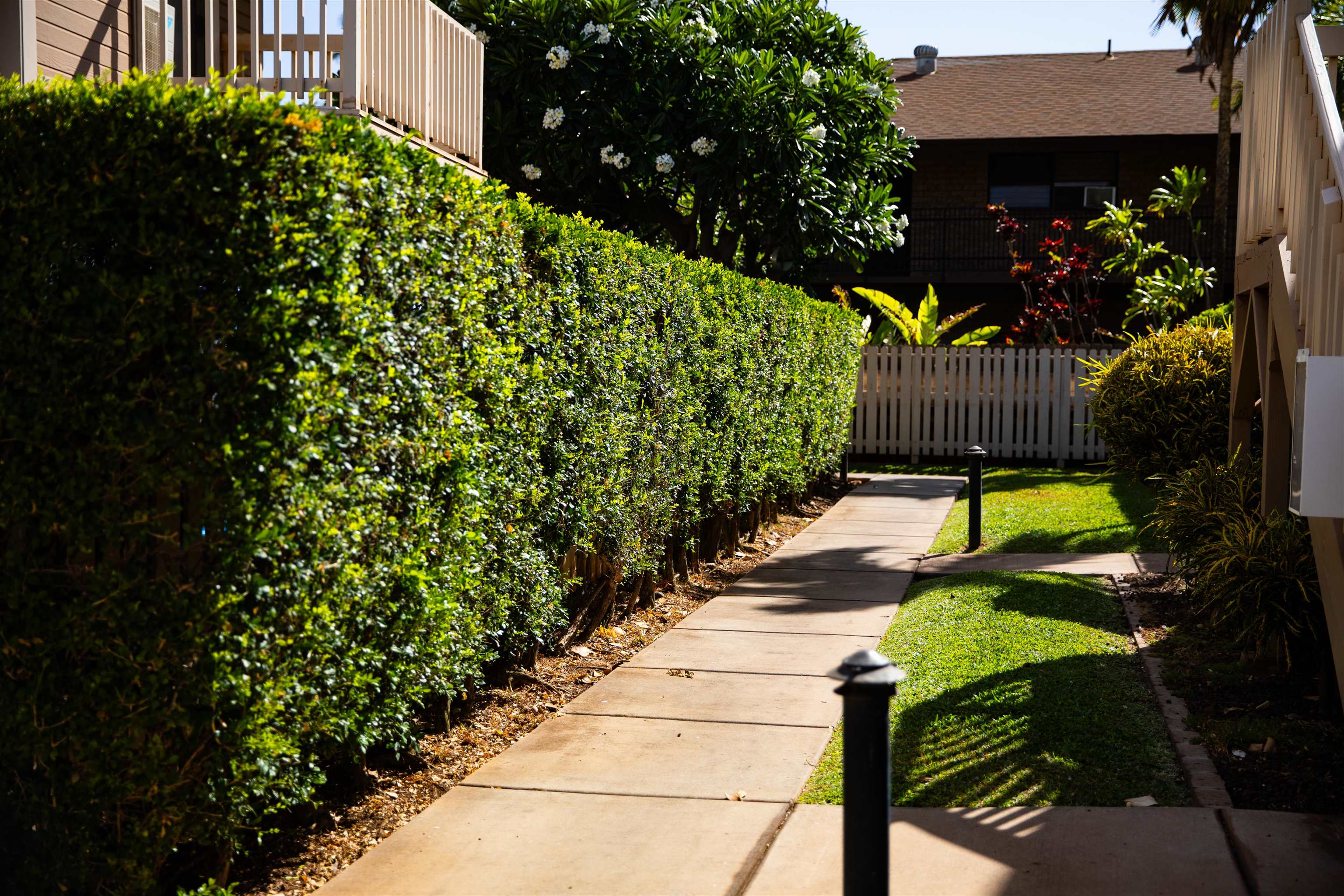 Southpointe at Waiakoa condo # 31-204, Kihei, Hawaii - photo 22 of 27