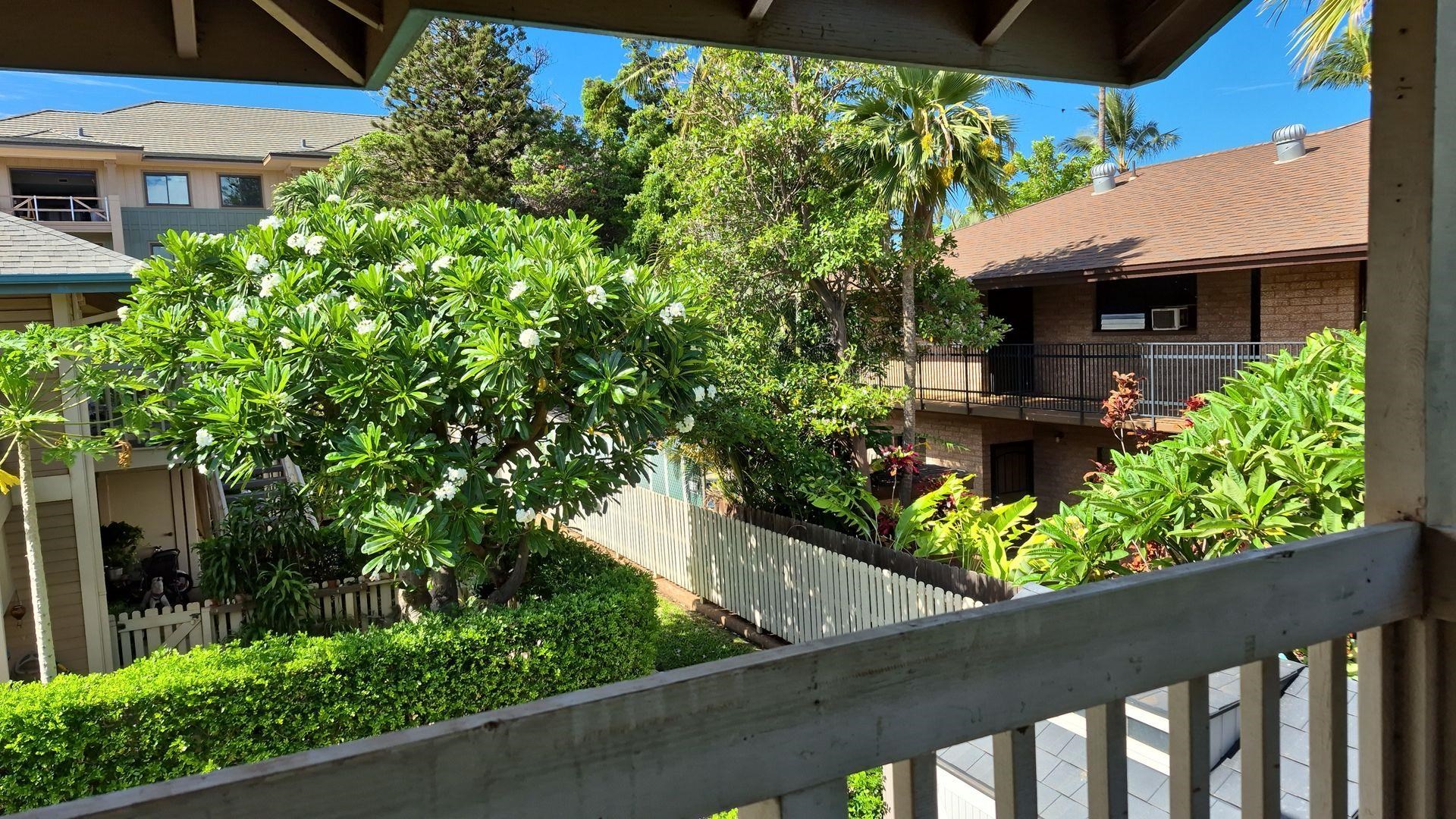 Southpointe At Waiakoa condo # , Kihei, Hawaii - photo 9 of 11