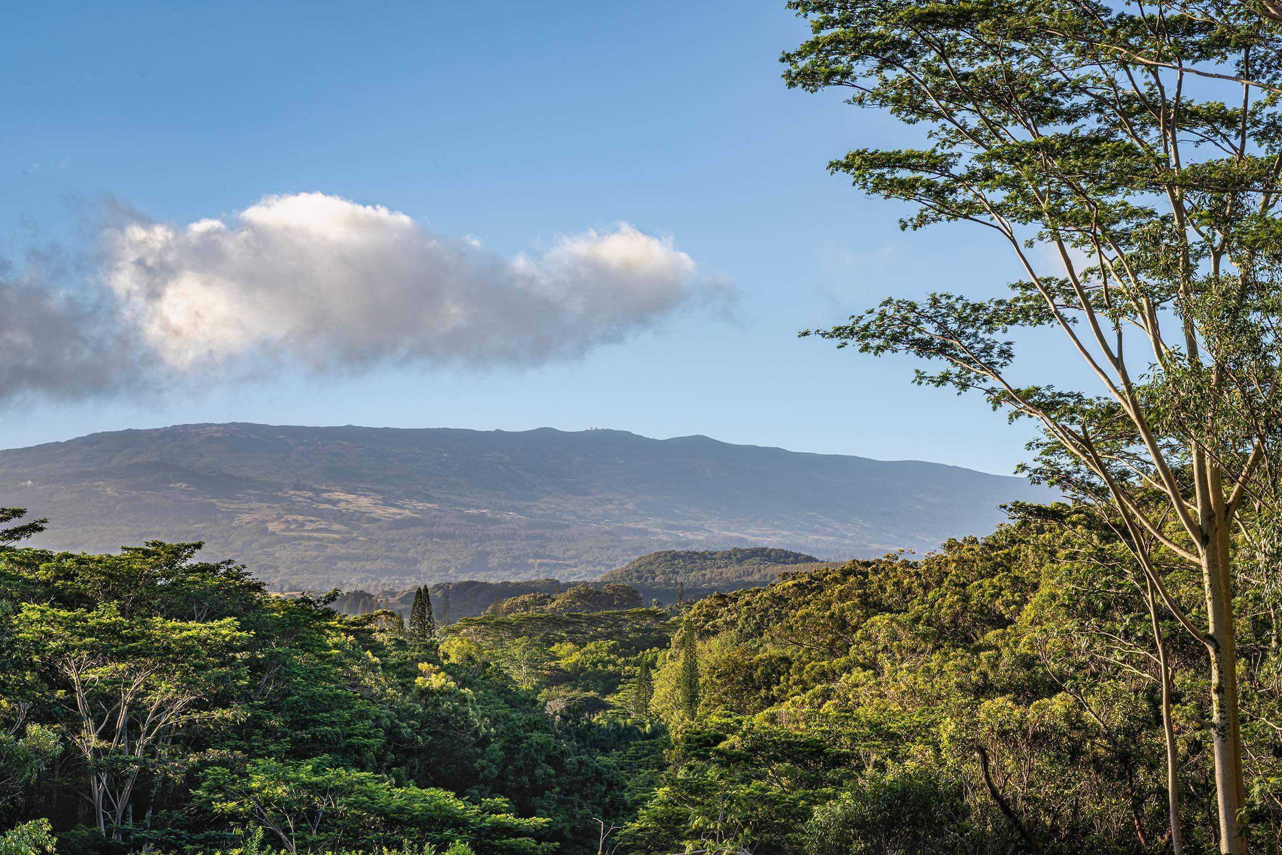 480 Kuiaha Rd  Haiku, Hi vacant land for sale - photo 2 of 28