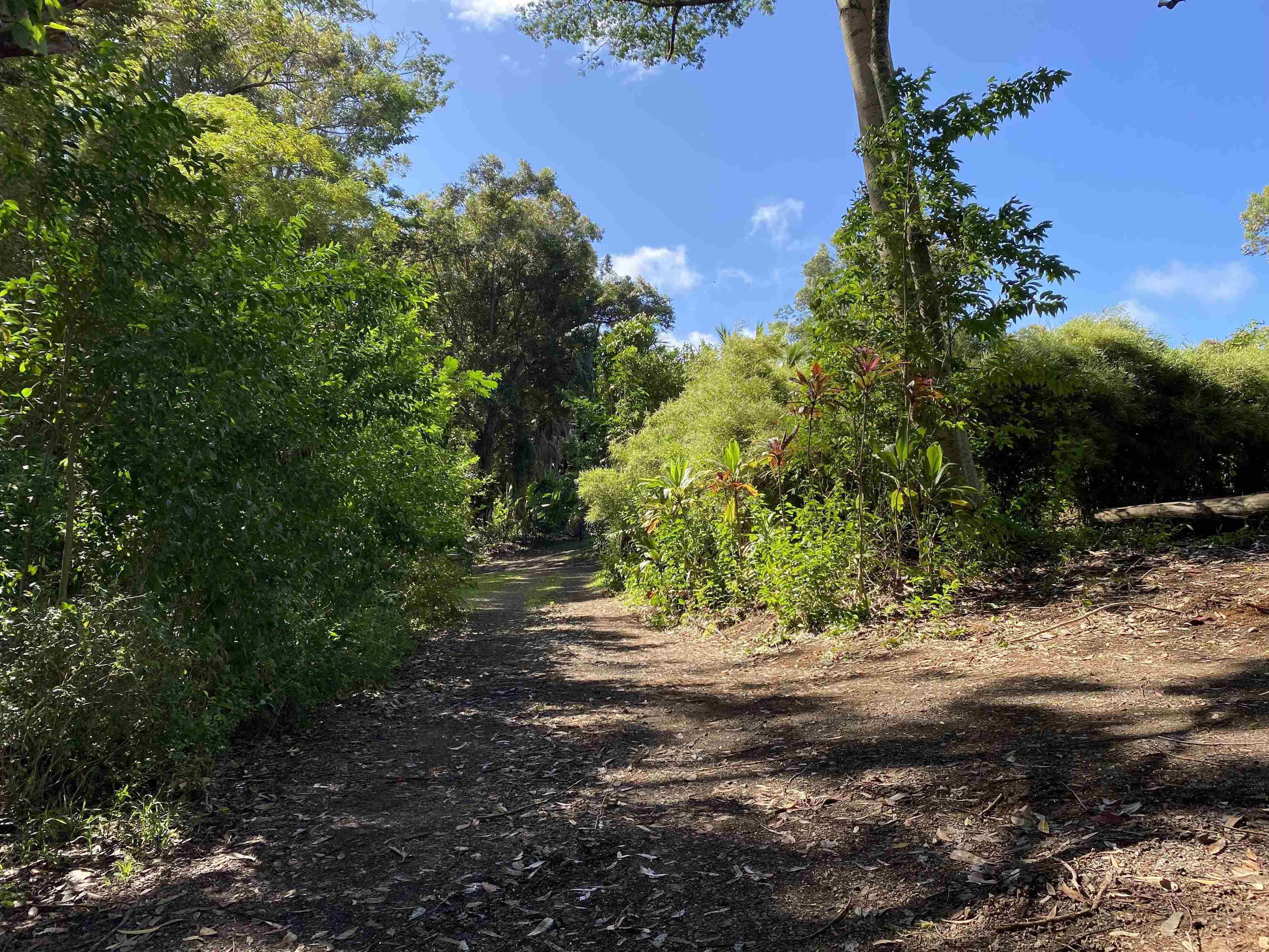 480 Kuiaha Rd  Haiku, Hi vacant land for sale - photo 12 of 28