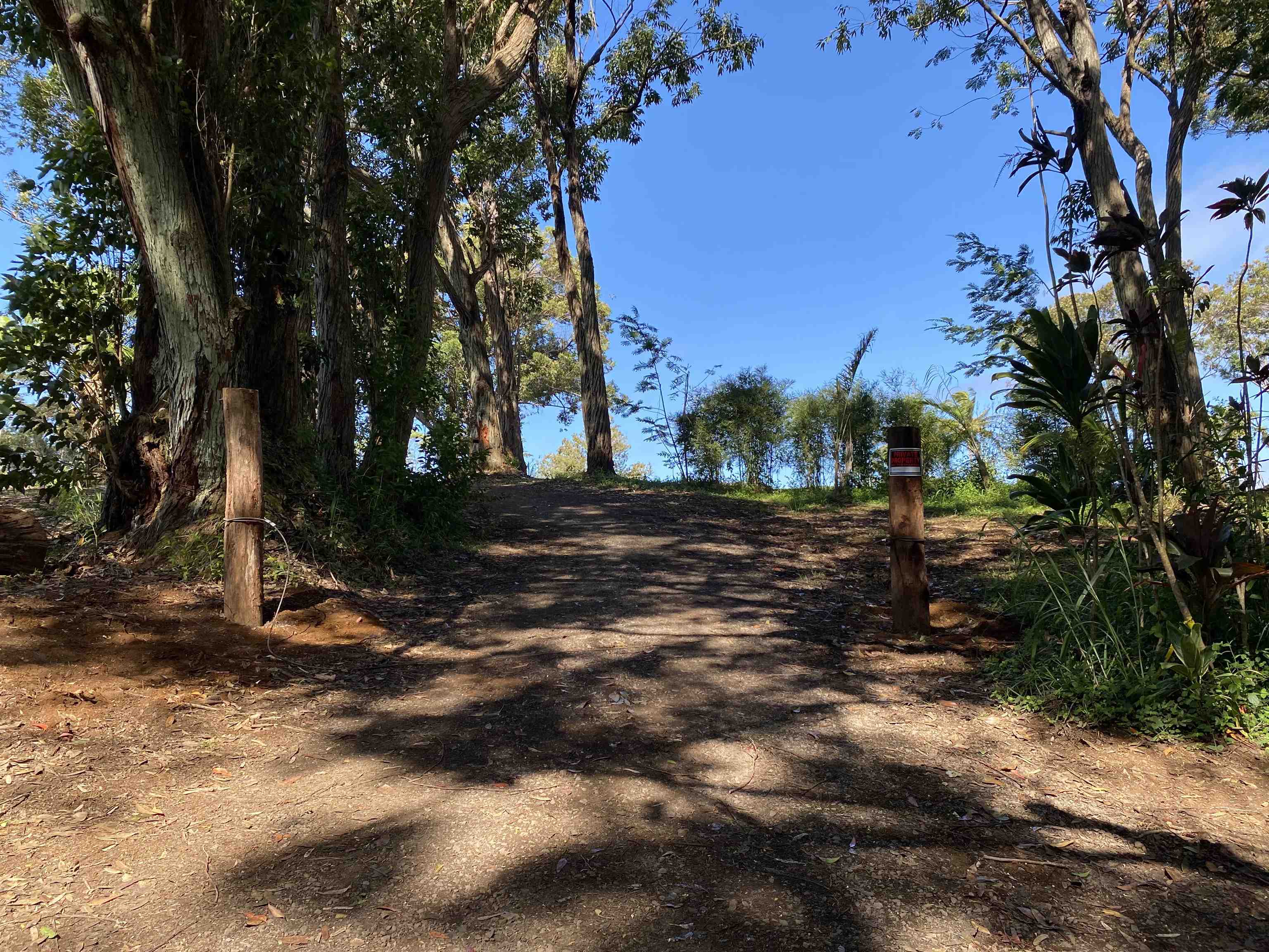 480 Kuiaha Rd  Haiku, Hi vacant land for sale - photo 13 of 28