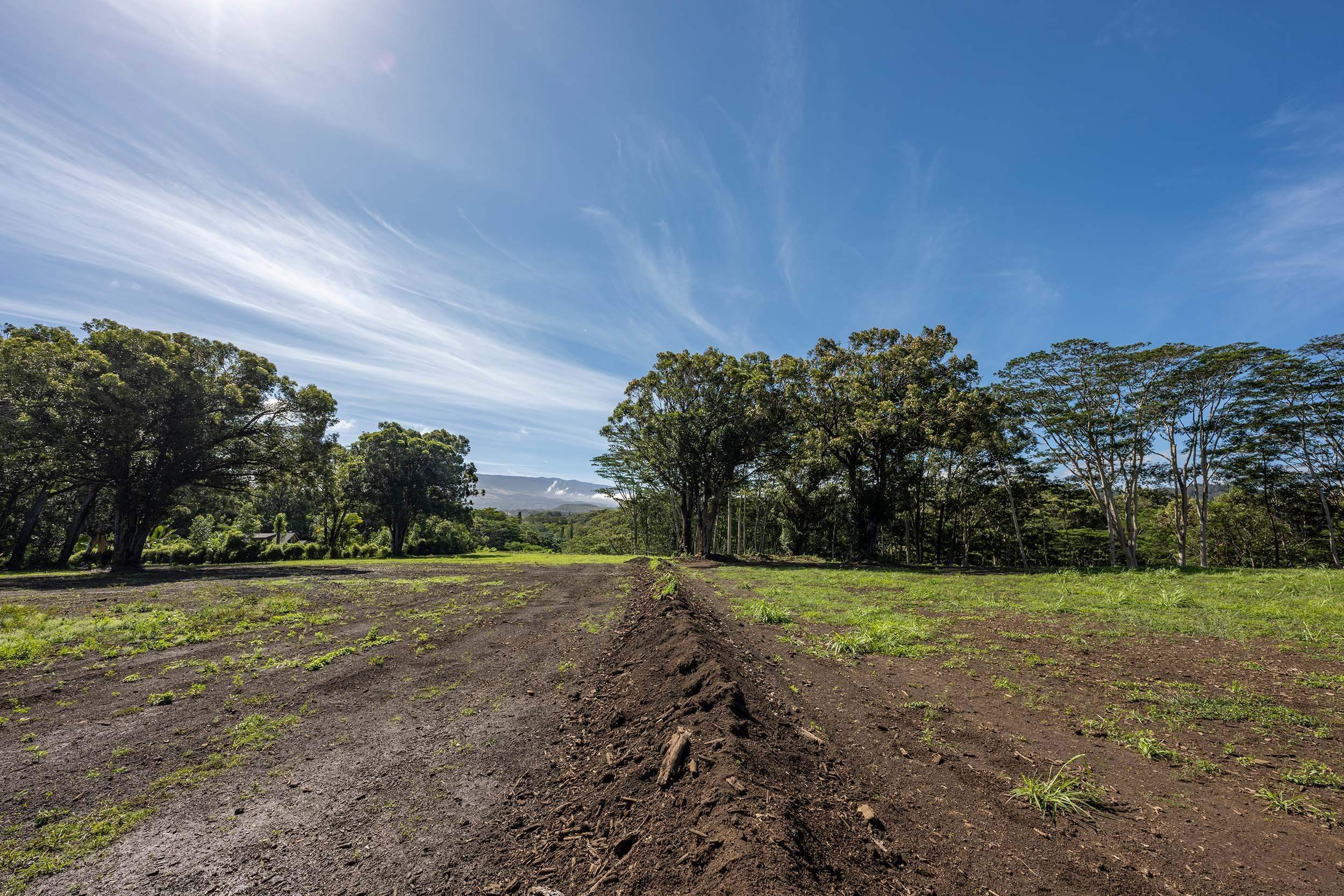 480 Kuiaha Rd  Haiku, Hi vacant land for sale - photo 14 of 28