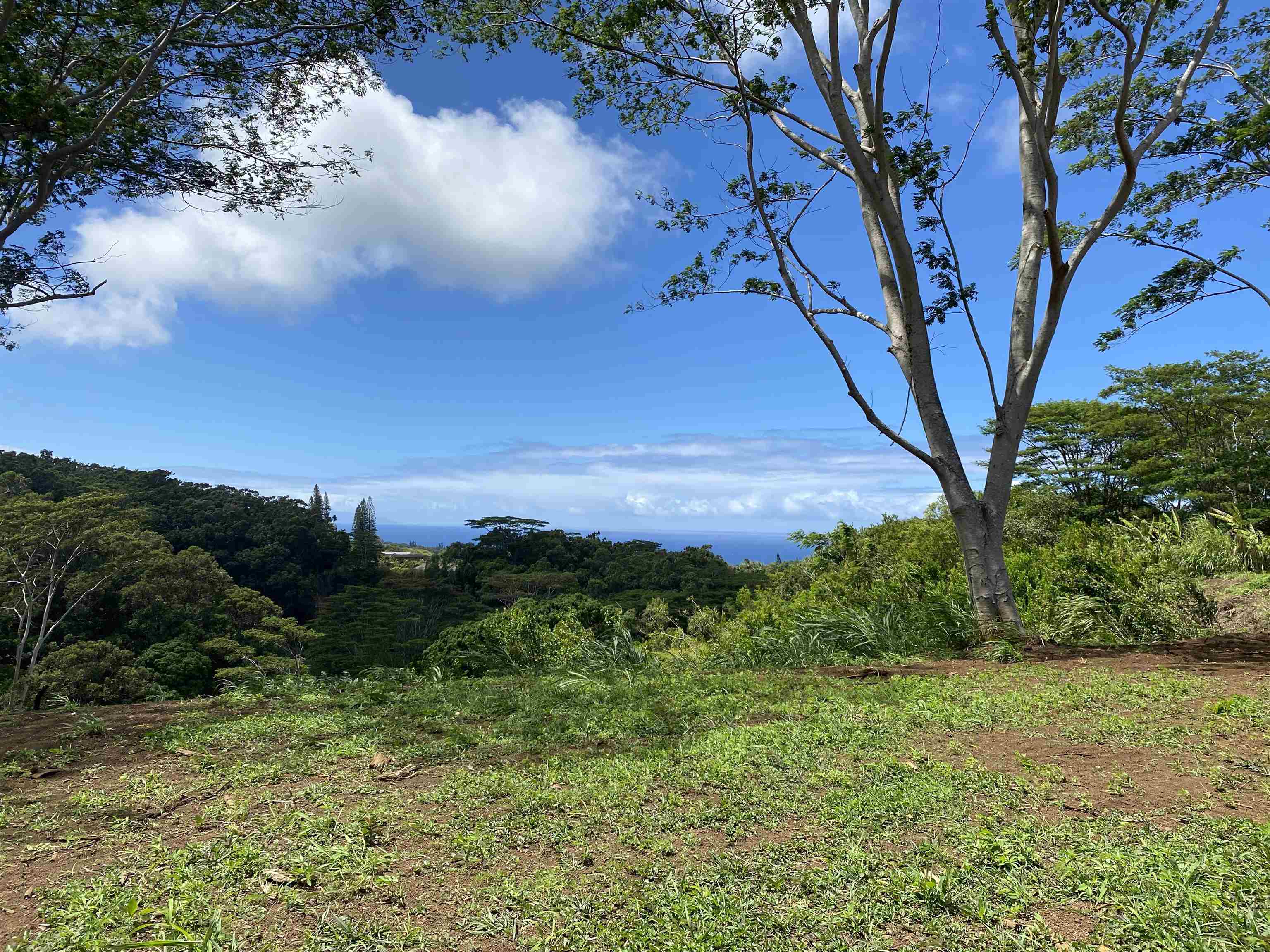 480 Kuiaha Rd  Haiku, Hi vacant land for sale - photo 16 of 28