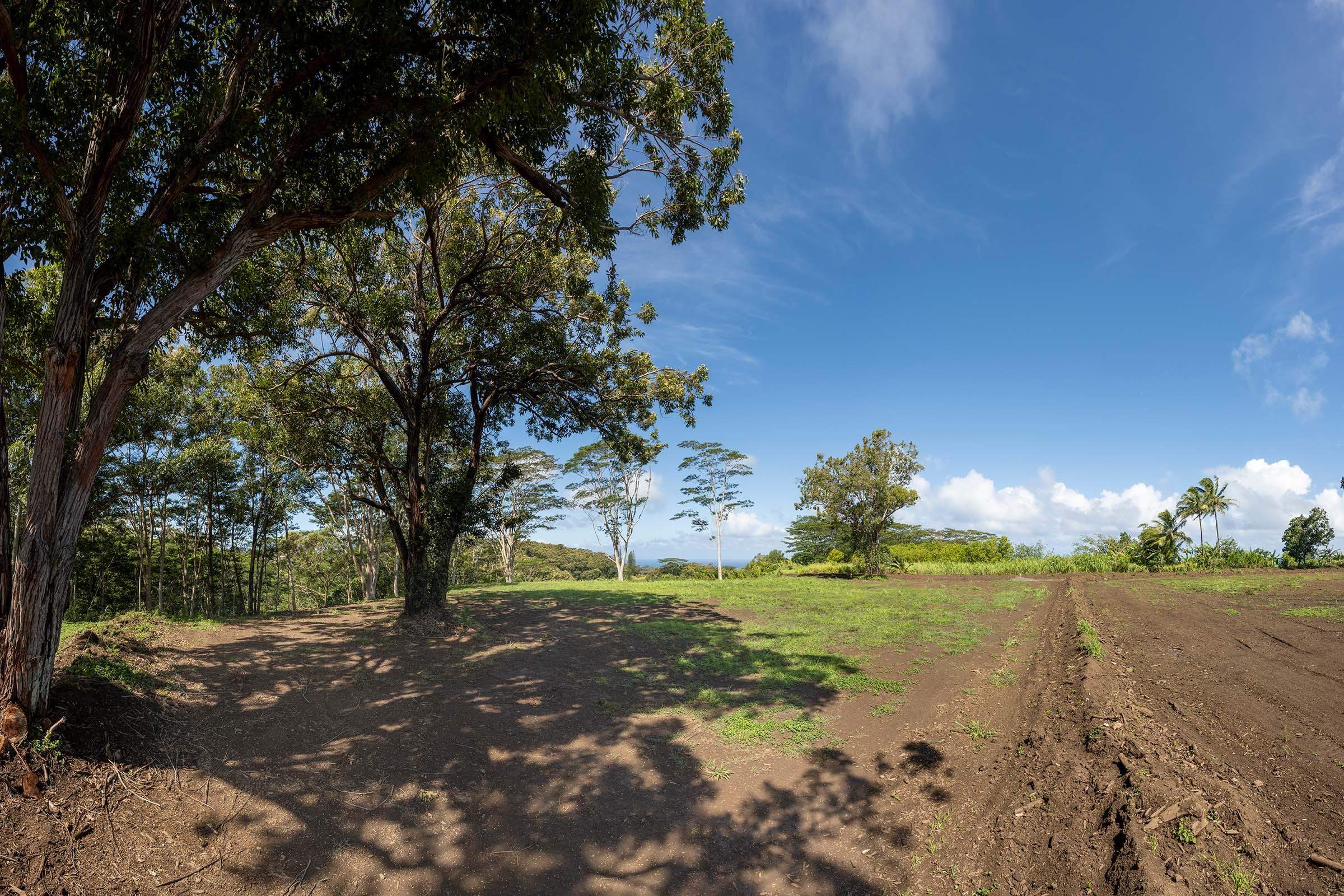 480 Kuiaha Rd  Haiku, Hi vacant land for sale - photo 17 of 28