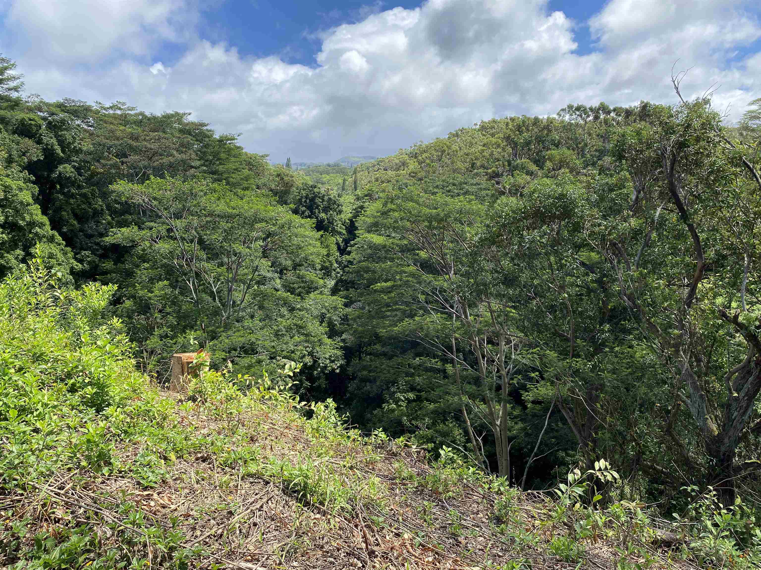 480 Kuiaha Rd  Haiku, Hi vacant land for sale - photo 3 of 28