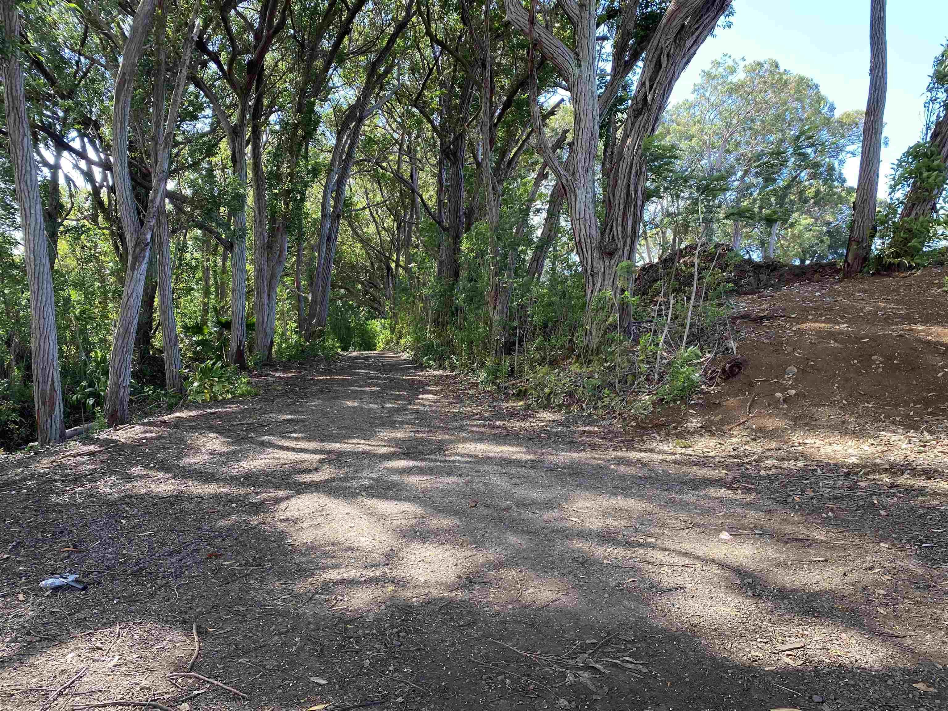 480 Kuiaha Rd  Haiku, Hi vacant land for sale - photo 23 of 28