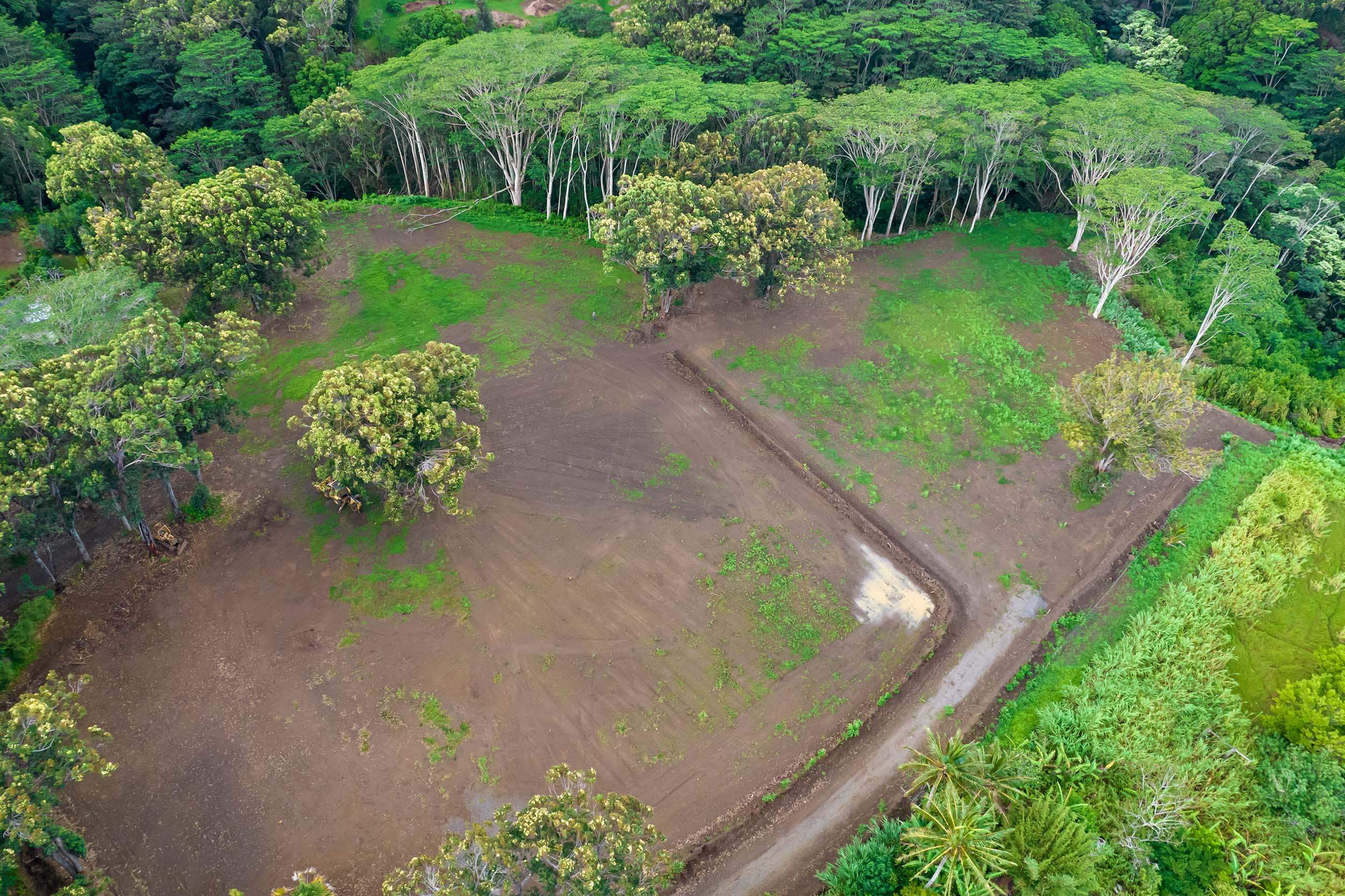 480 Kuiaha Rd  Haiku, Hi vacant land for sale - photo 26 of 28