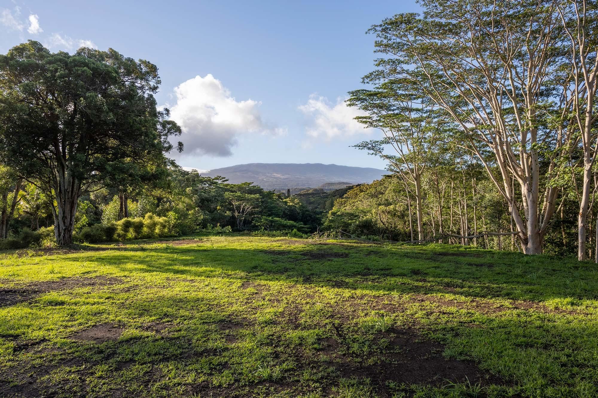 480 Kuiaha Rd  Haiku, Hi vacant land for sale - photo 4 of 28