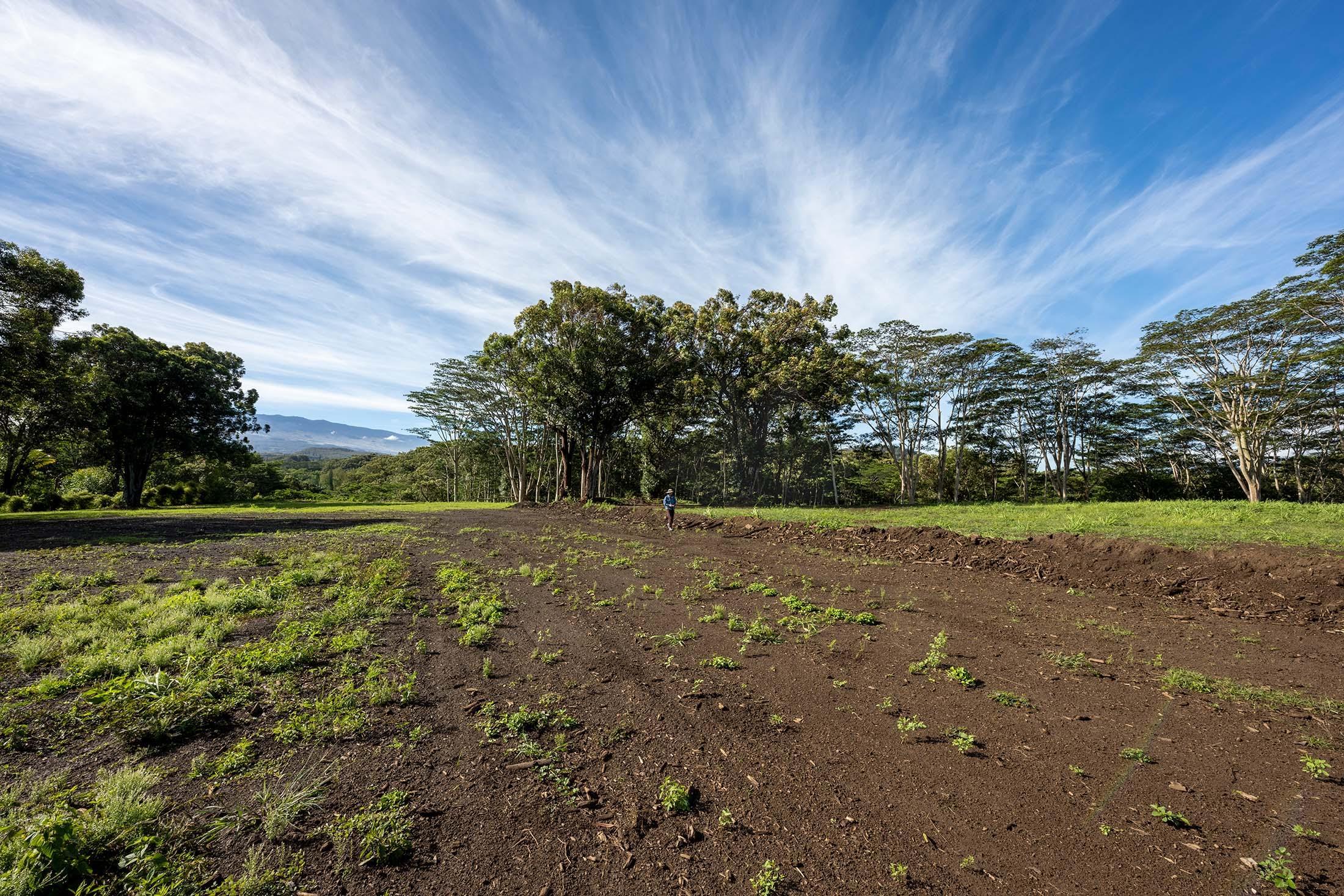 480 Kuiaha Rd  Haiku, Hi vacant land for sale - photo 5 of 28