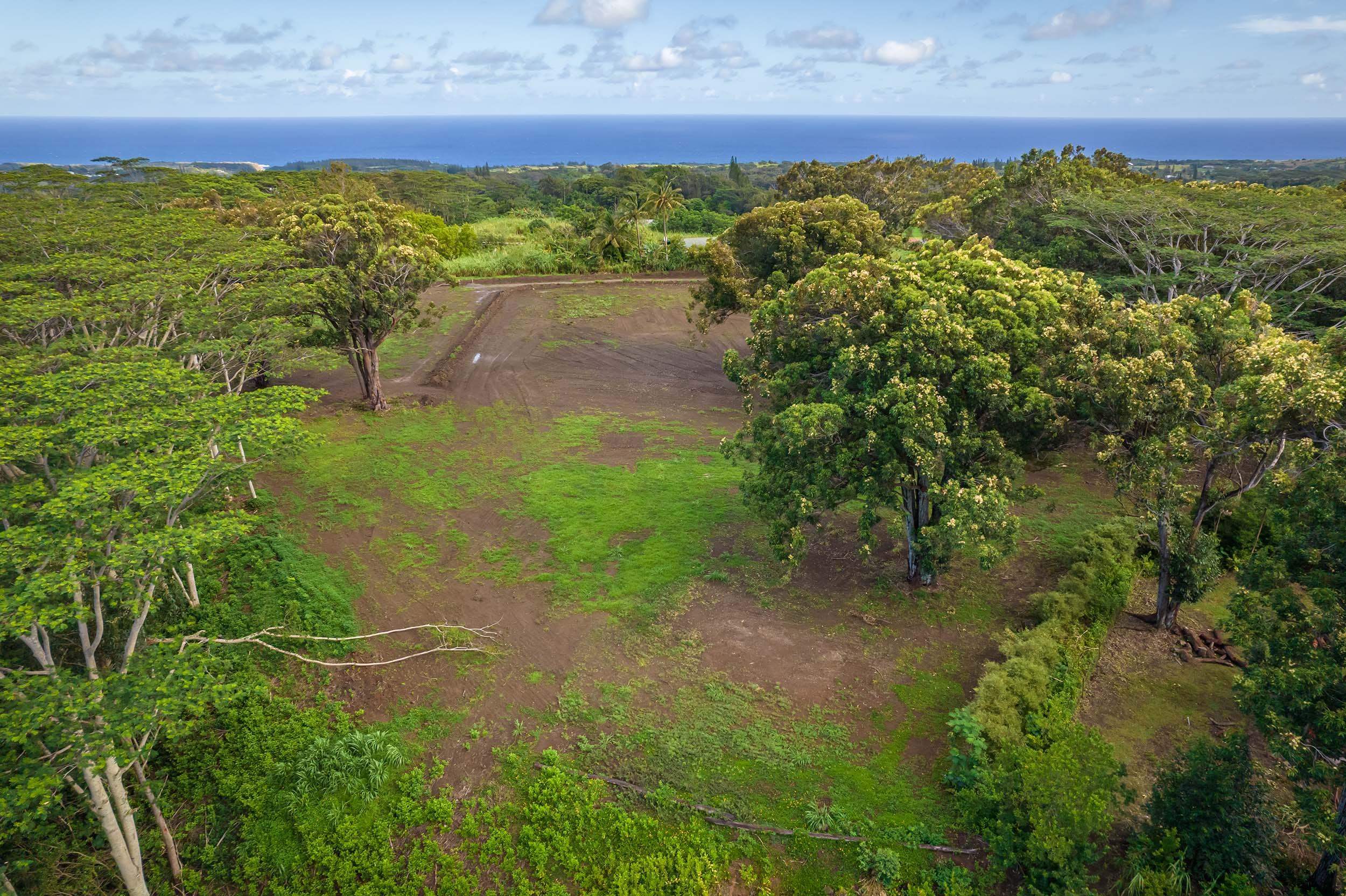 480 Kuiaha Rd  Haiku, Hi vacant land for sale - photo 7 of 28