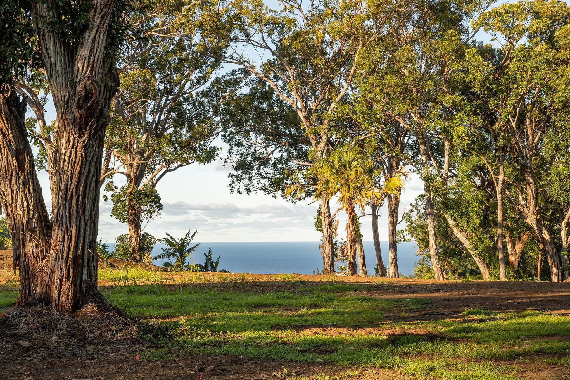 480 Kuiaha Rd  Haiku, Hi vacant land for sale - photo 8 of 28