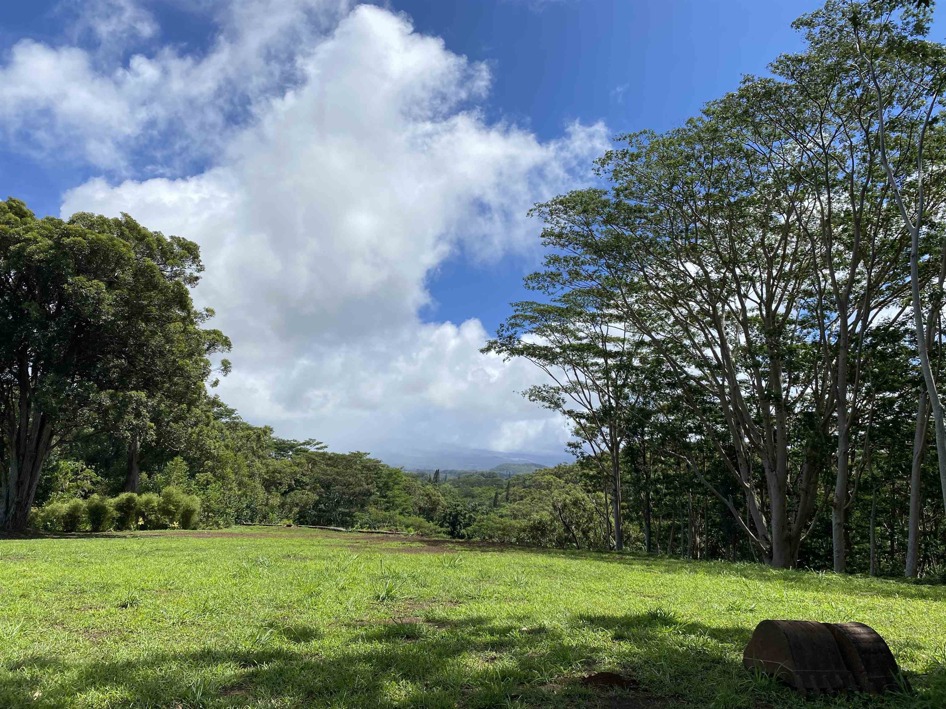 480 Kuiaha Rd  Haiku, Hi vacant land for sale - photo 9 of 28