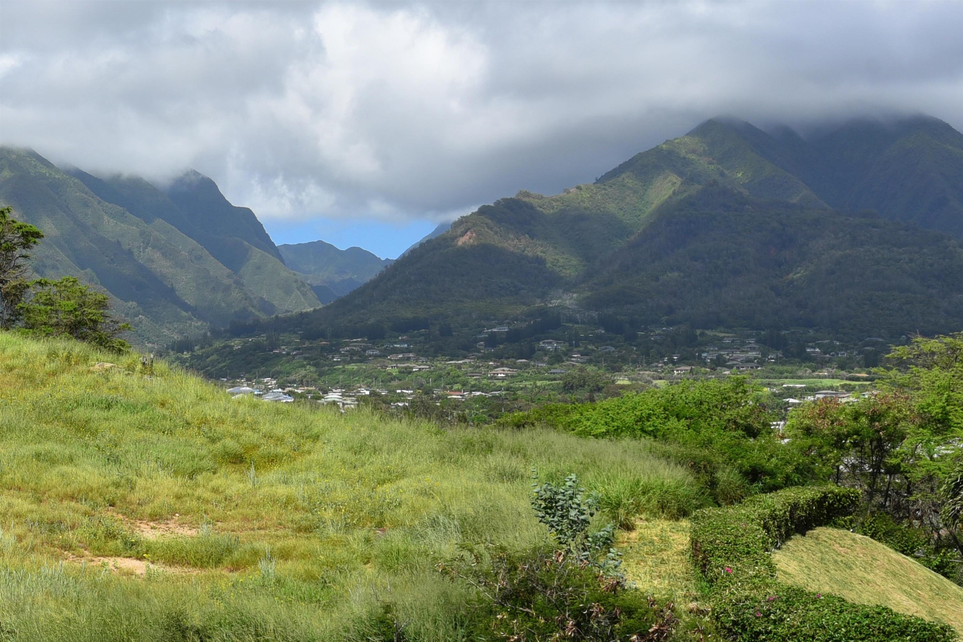 Puuone Hale Alii condo # 203, Wailuku, Hawaii - photo 20 of 20