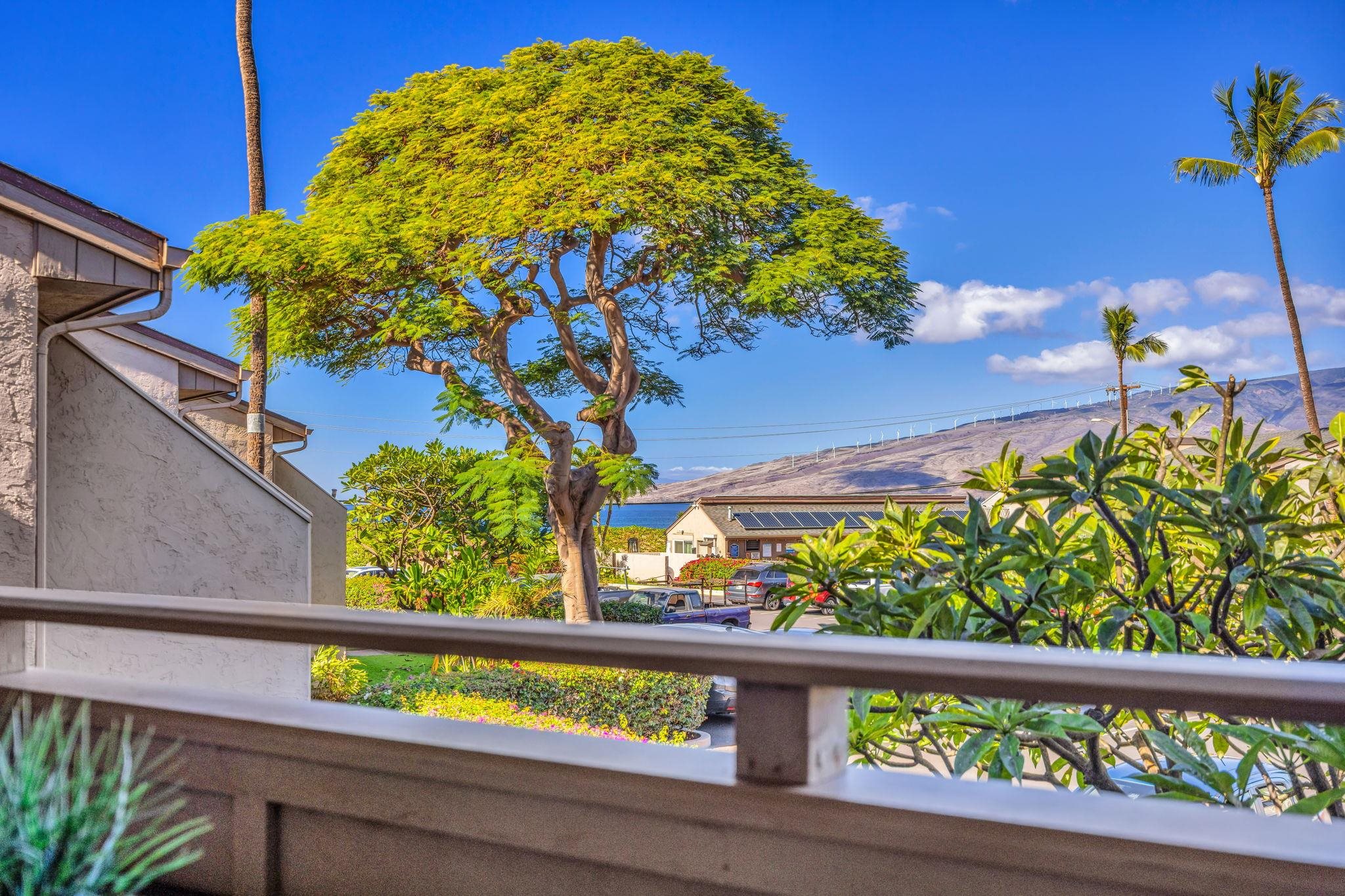 Kihei Holiday condo # 215, Kihei, Hawaii - photo 2 of 50