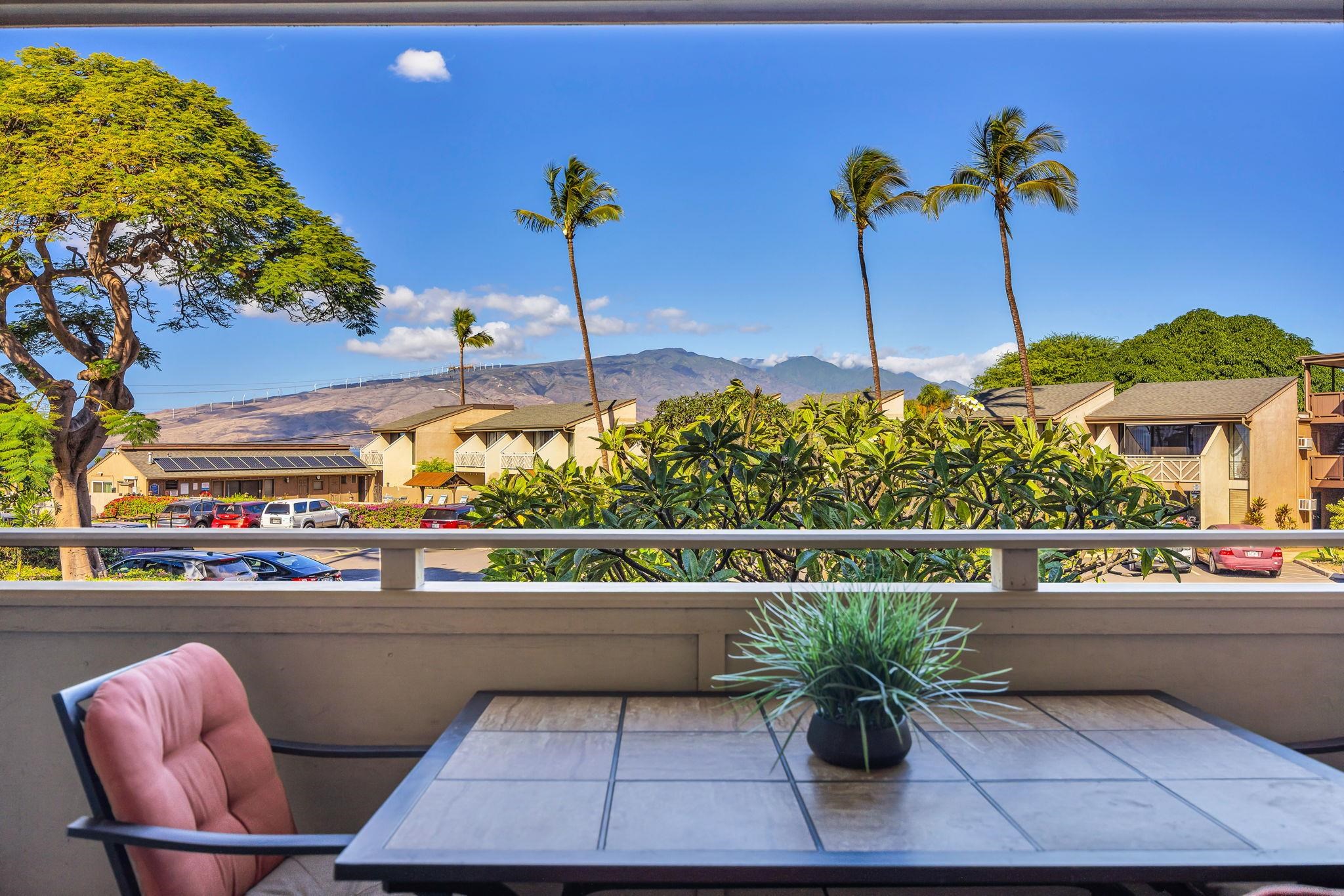 Kihei Holiday condo # 215, Kihei, Hawaii - photo 14 of 50