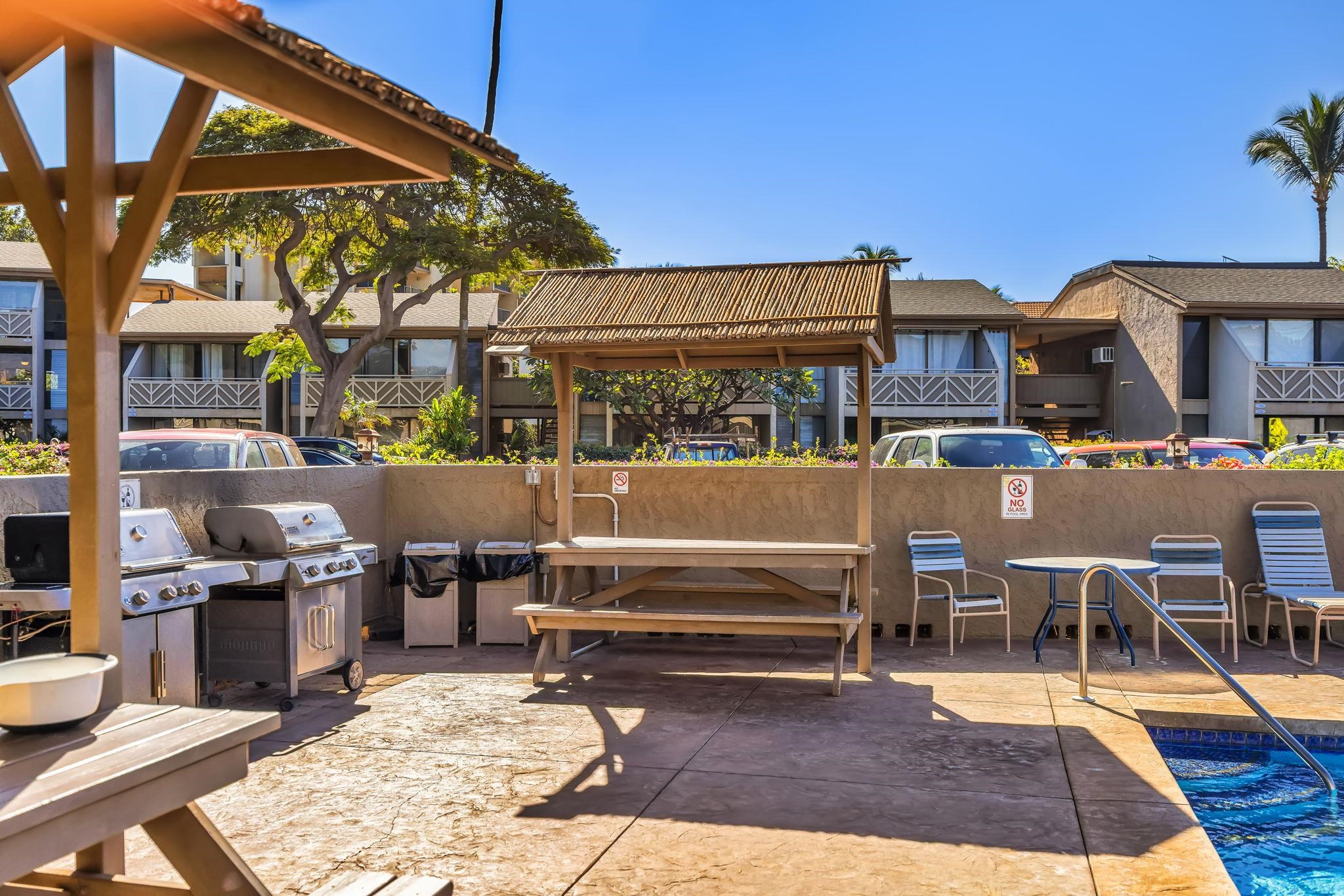 Kihei Holiday condo # 215, Kihei, Hawaii - photo 46 of 50