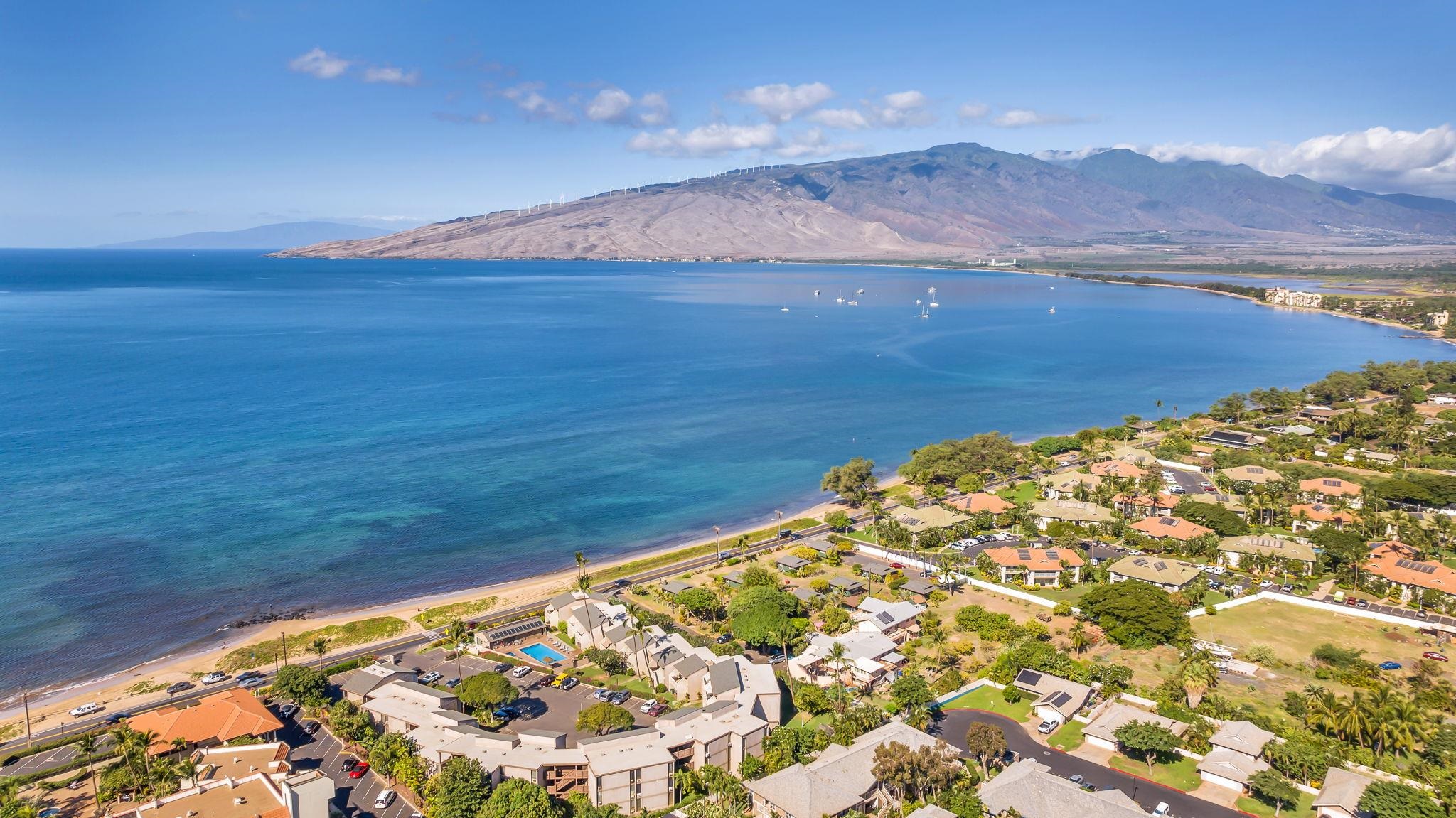 Kihei Holiday condo # 215, Kihei, Hawaii - photo 50 of 50