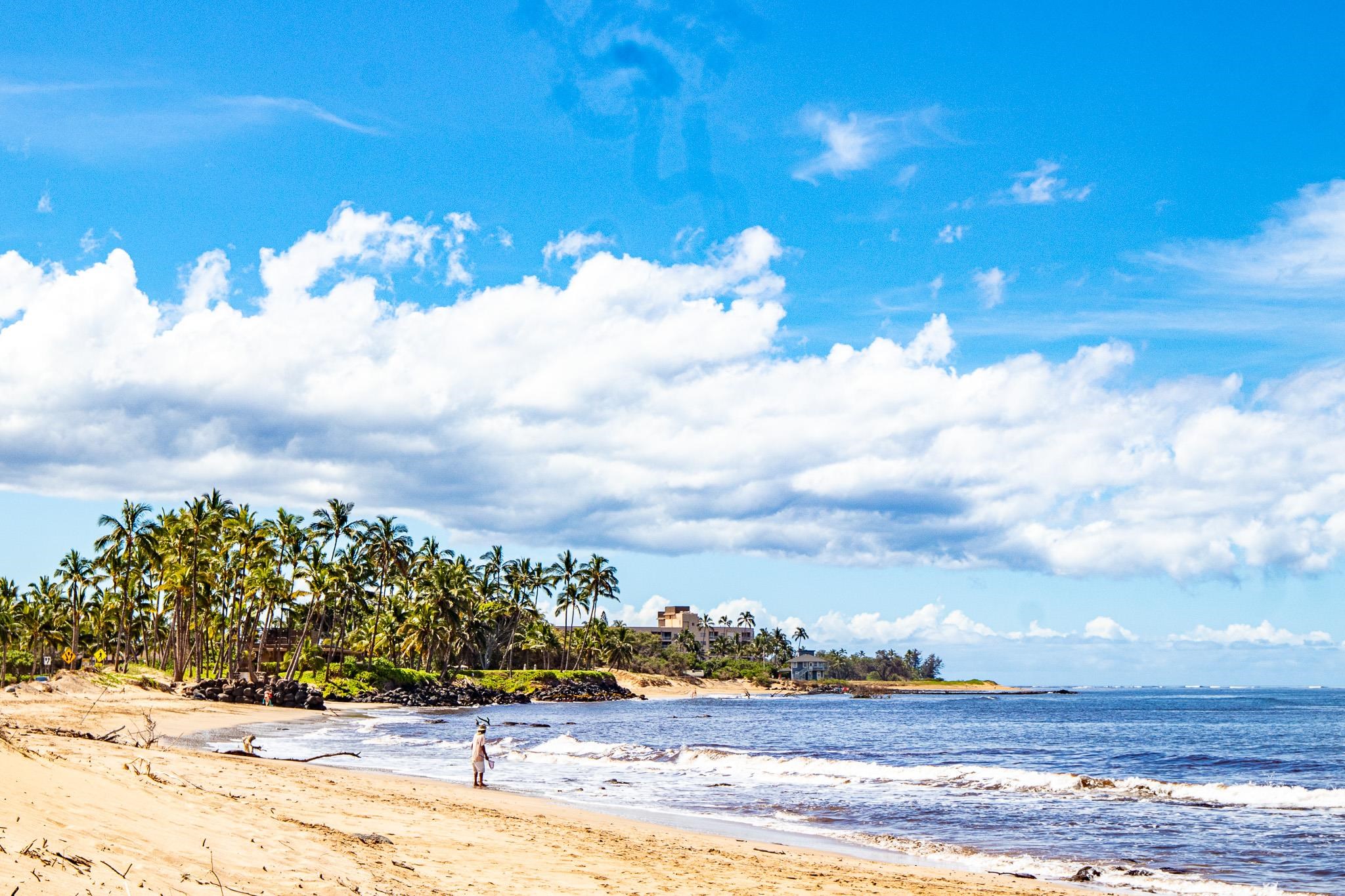 Kihei Holiday condo # 217, Kihei, Hawaii - photo 19 of 22