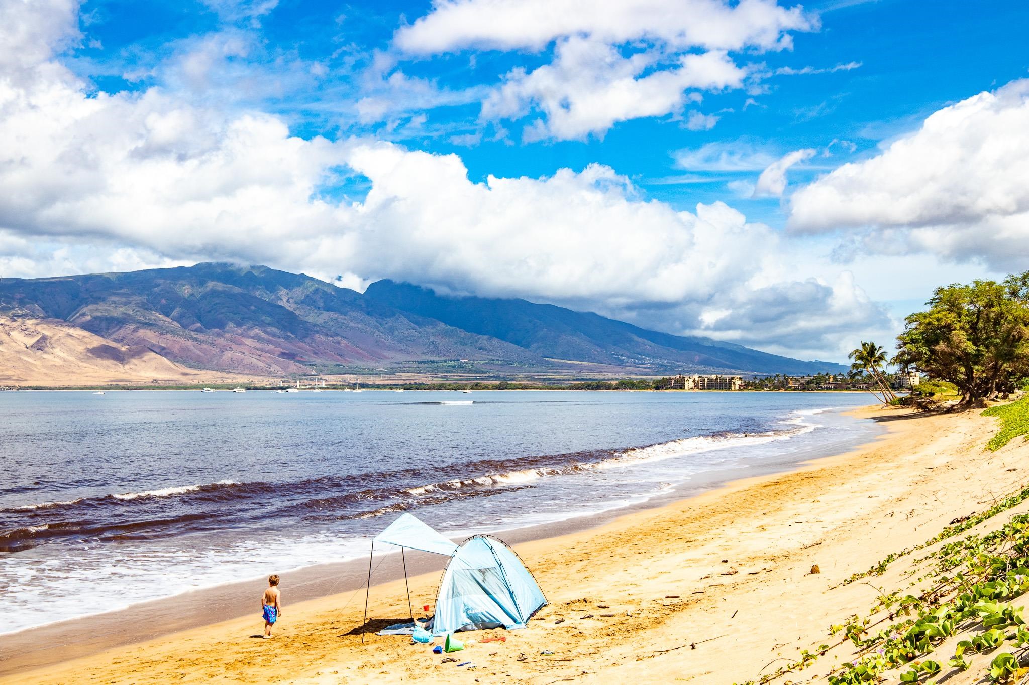 Kihei Holiday condo # 217, Kihei, Hawaii - photo 21 of 22