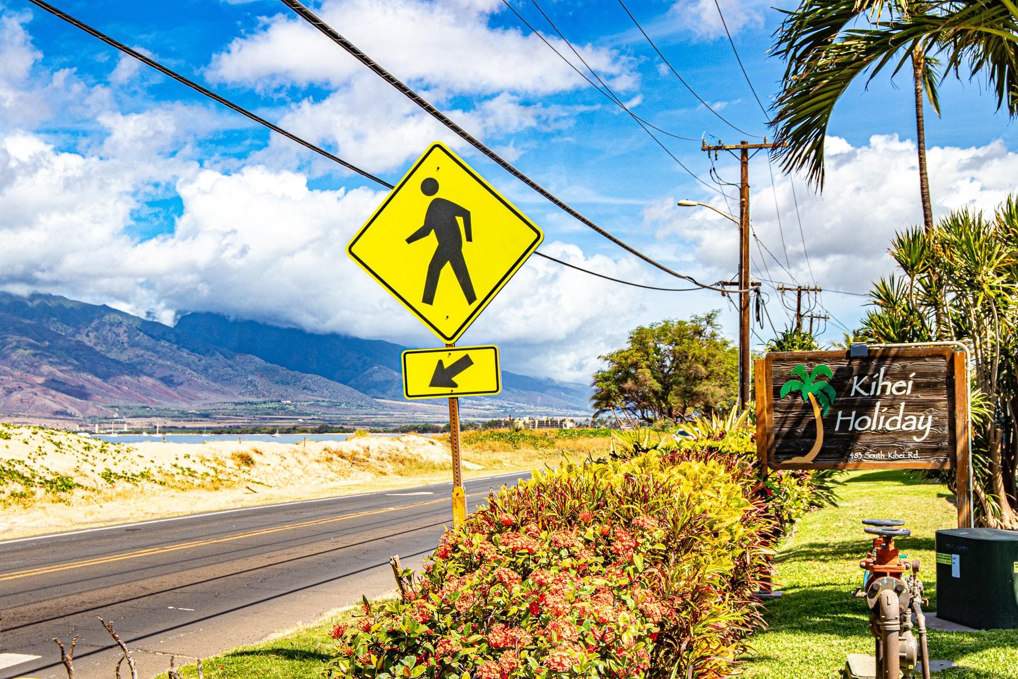 Kihei Holiday condo # 217, Kihei, Hawaii - photo 22 of 22