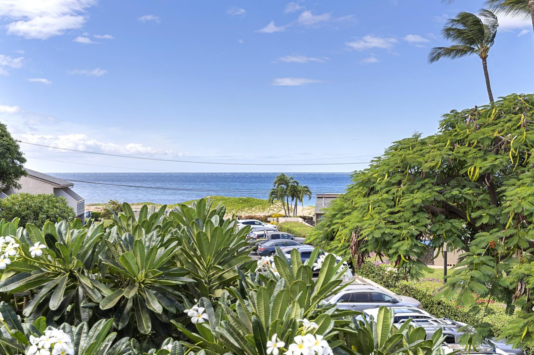 Kihei Holiday condo # 310, Kihei, Hawaii - photo 3 of 30