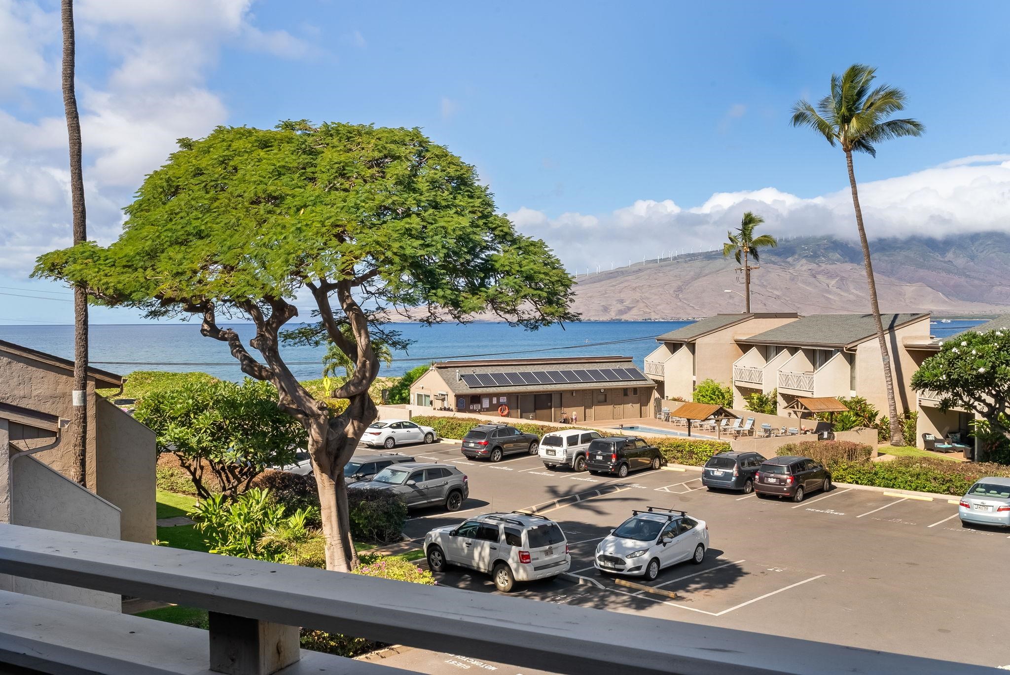 Kihei Holiday condo # 315, Kihei, Hawaii - photo 29 of 29