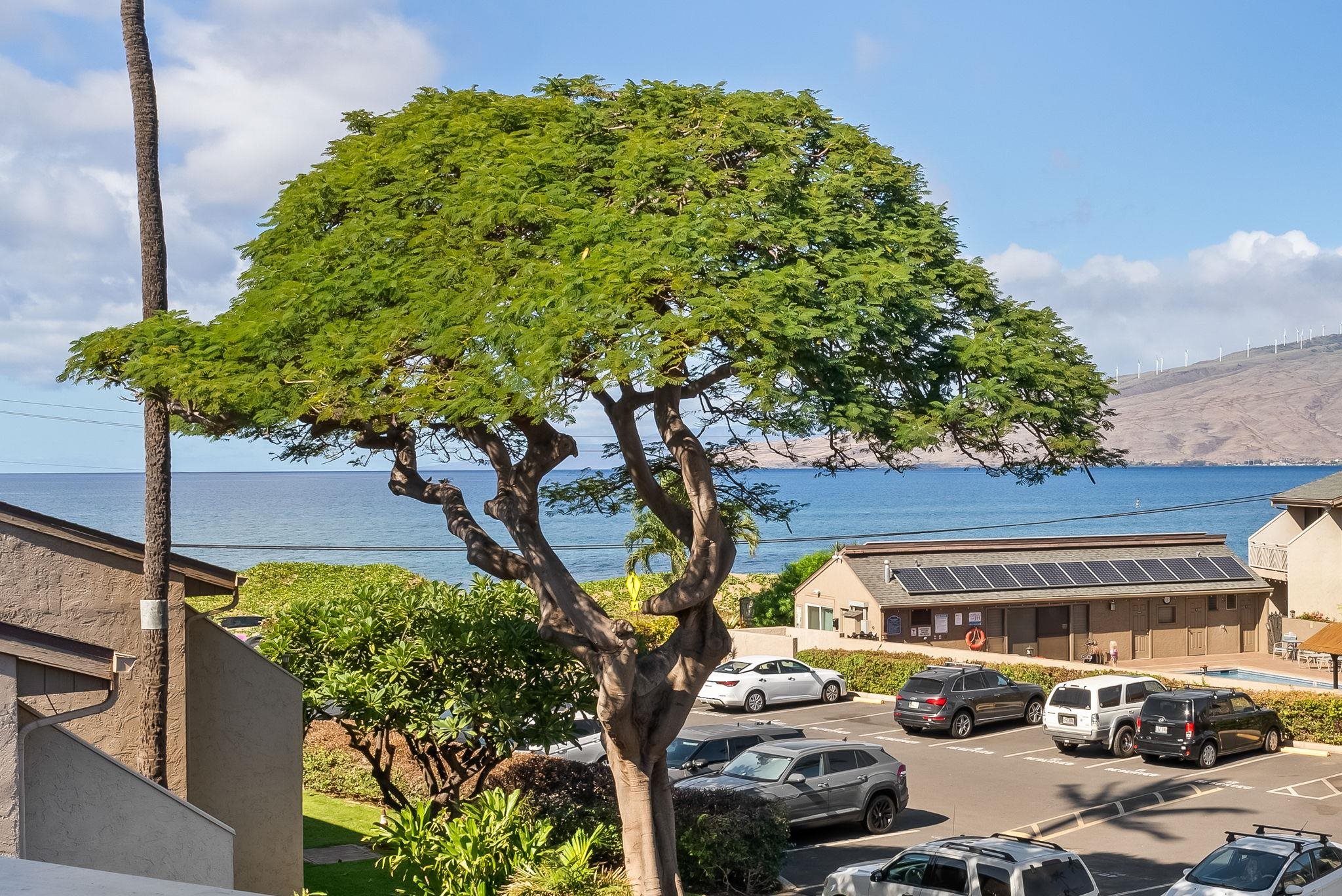 Kihei Holiday condo # 315, Kihei, Hawaii - photo 8 of 29