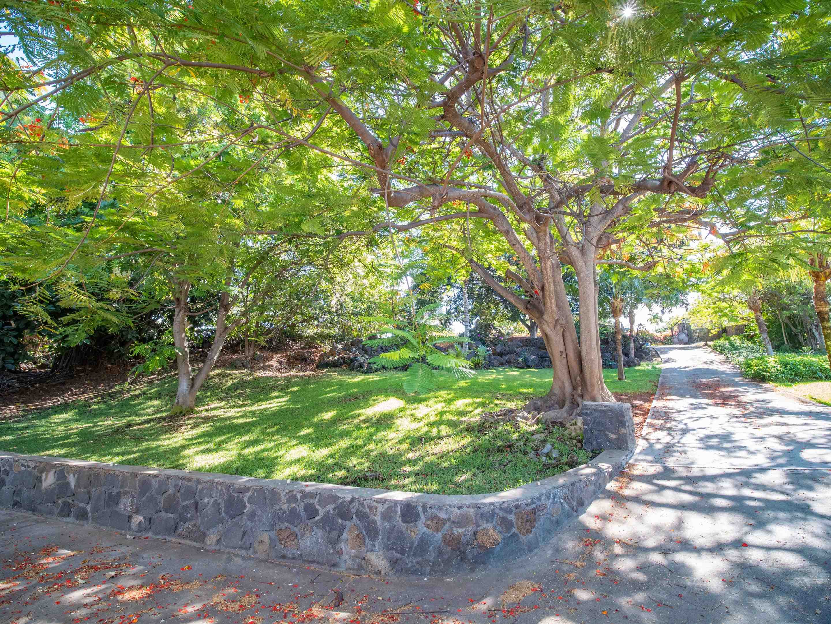 484  Hoala Dr Maui Meadows, Maui Meadows home - photo 2 of 40