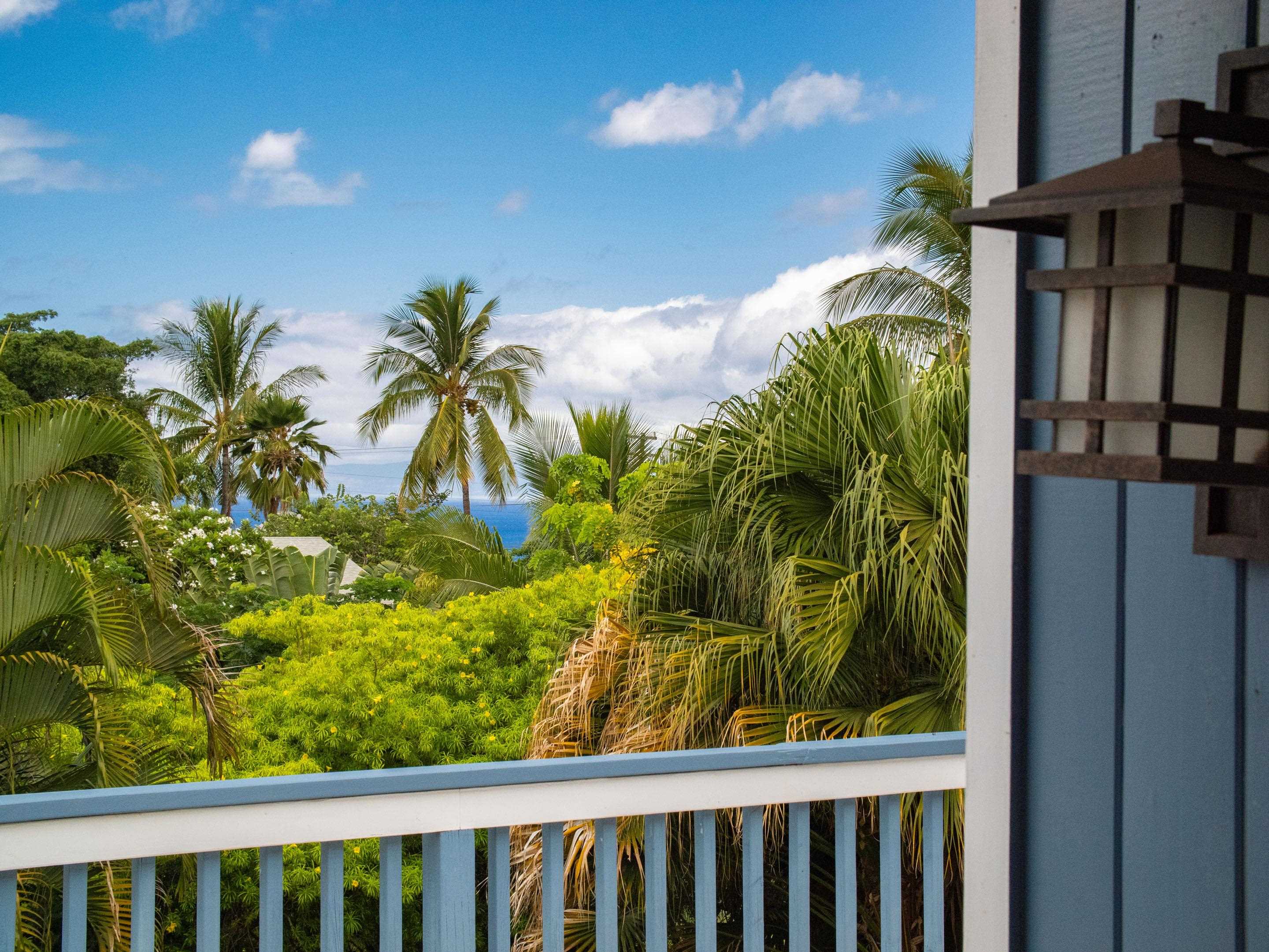 484  Hoala Dr Maui Meadows, Maui Meadows home - photo 23 of 40