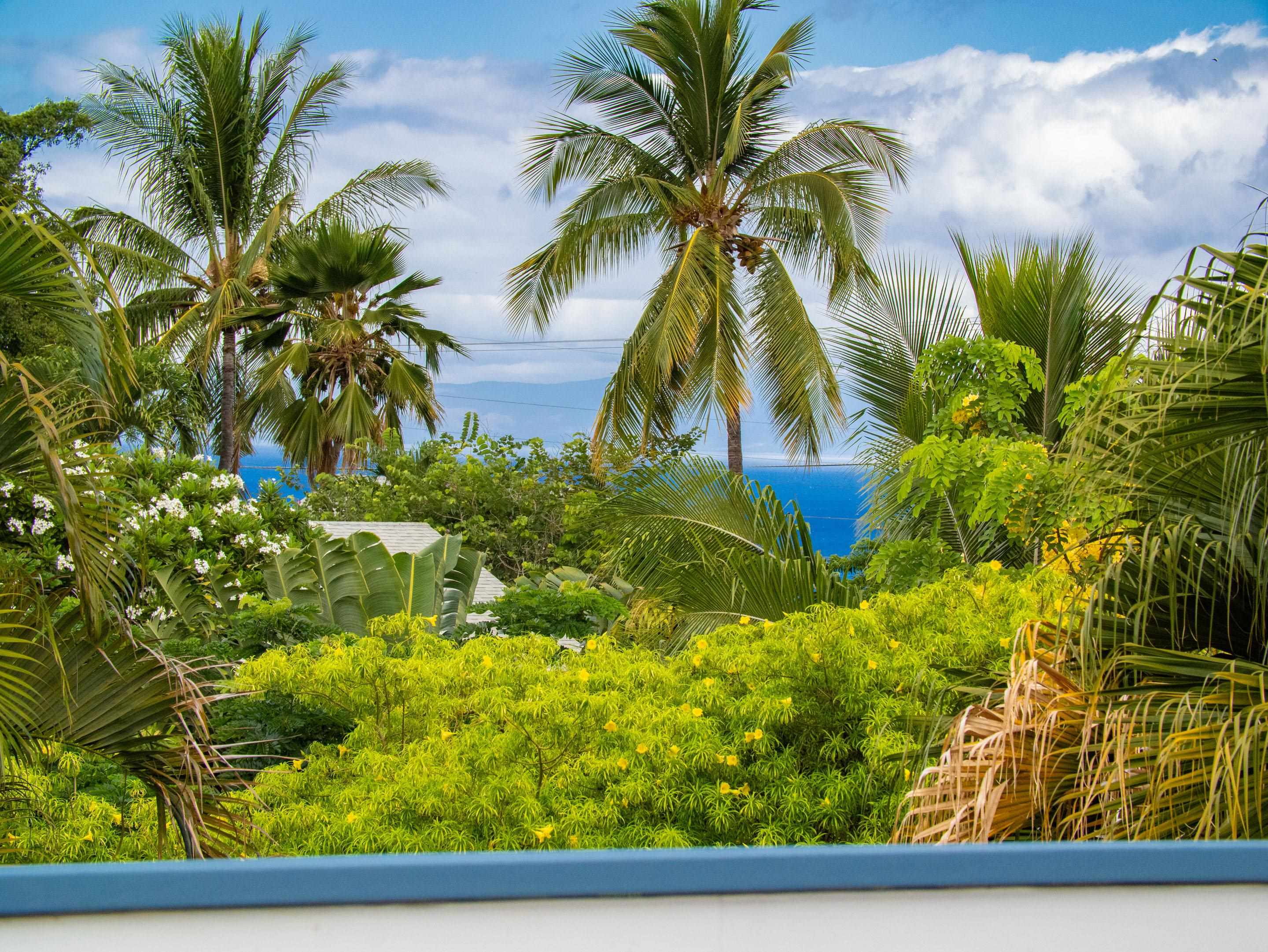 484  Hoala Dr Maui Meadows, Maui Meadows home - photo 24 of 40