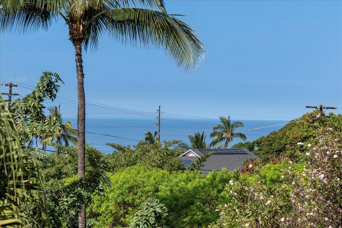 484  Hoala Dr Maui Meadows, Maui Meadows home - photo 3 of 50