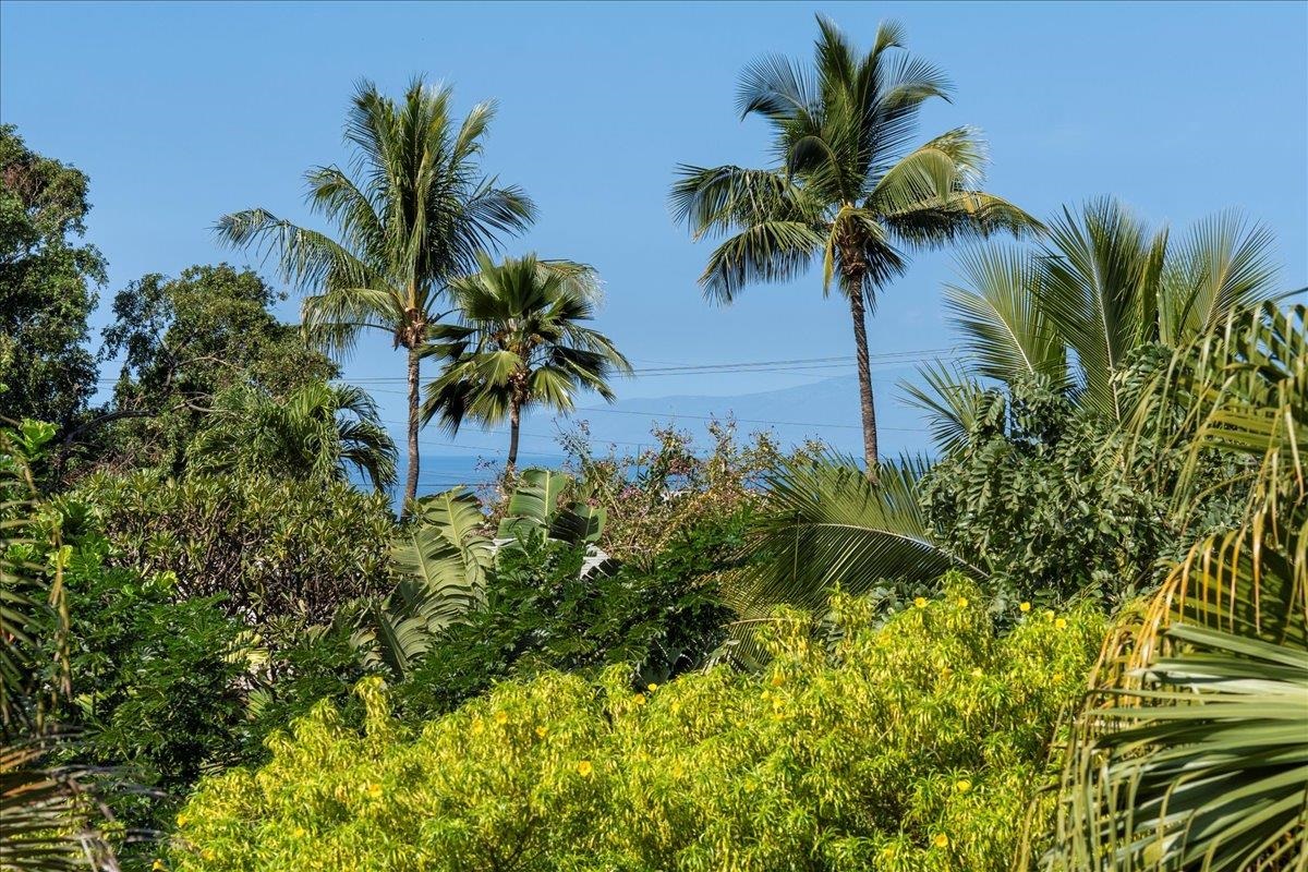 484  Hoala Dr Maui Meadows, Maui Meadows home - photo 41 of 50