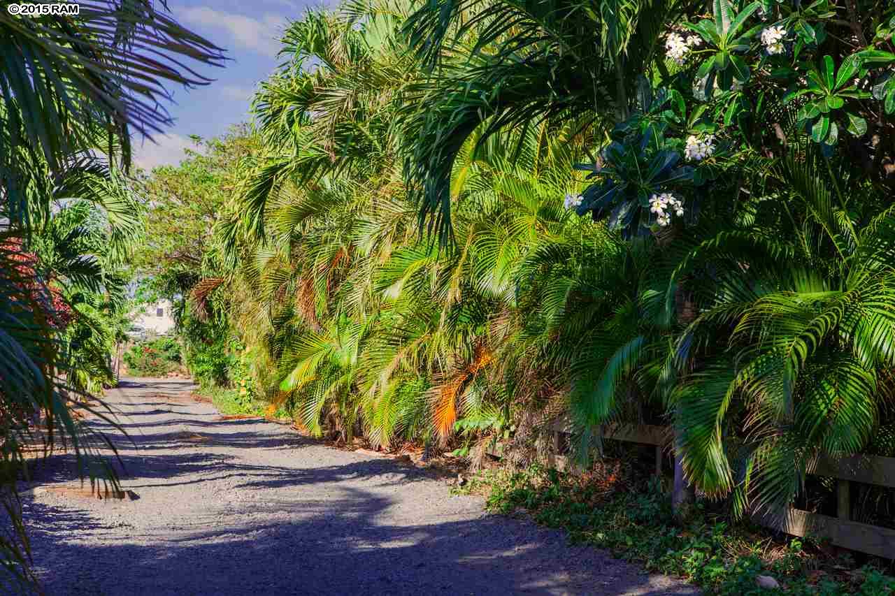 484  Kaiola Pl Central Kihei, Kihei home - photo 2 of 15