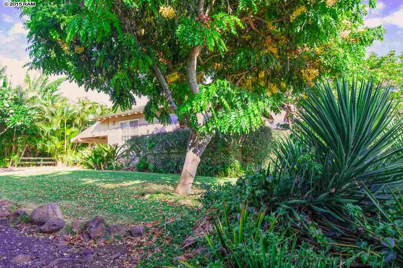 484  Kaiola Pl Central Kihei, Kihei home - photo 4 of 15