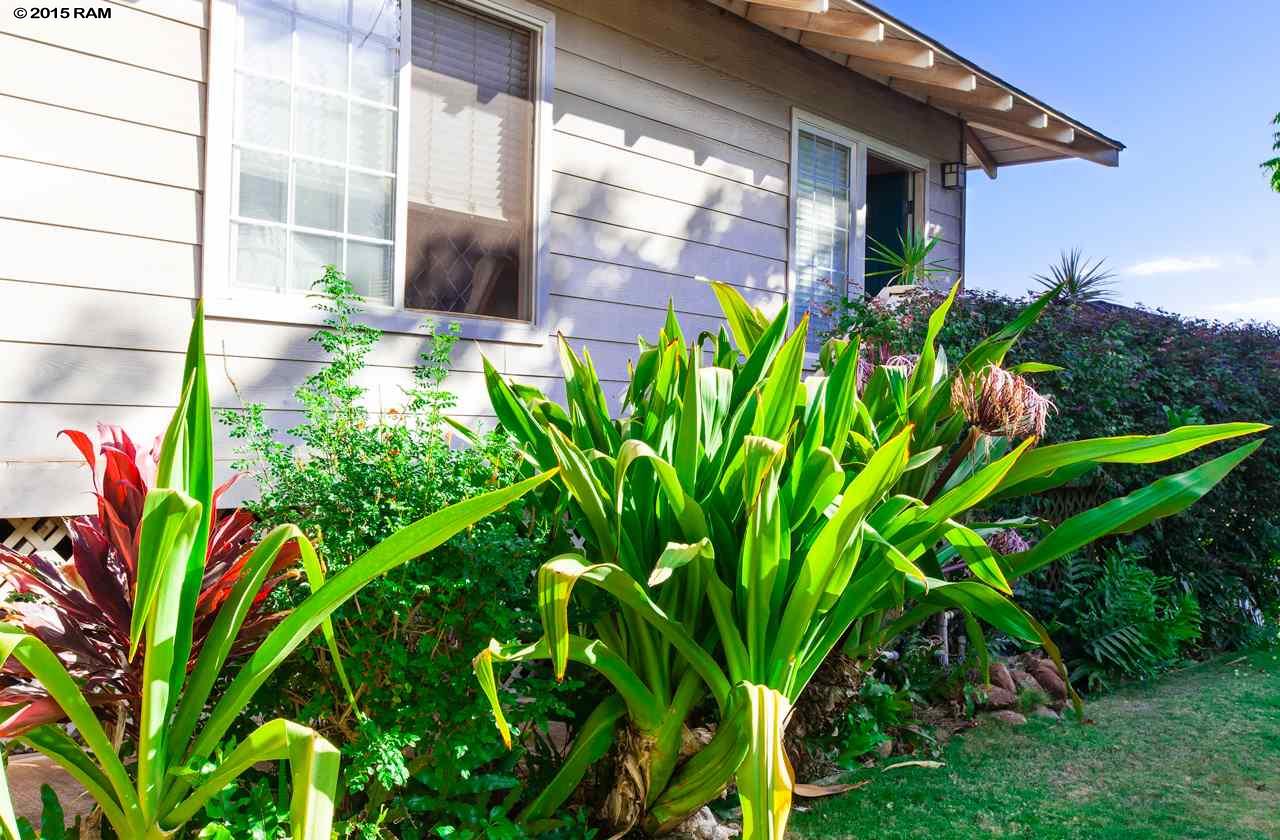484  Kaiola Pl Central Kihei, Kihei home - photo 5 of 15