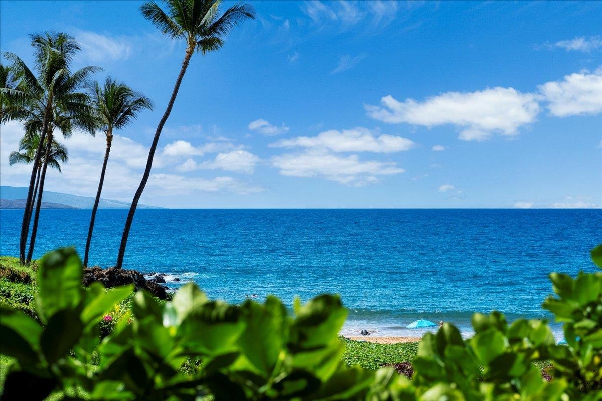 Makena Surf condo # A103, Kihei, Hawaii - photo 46 of 50