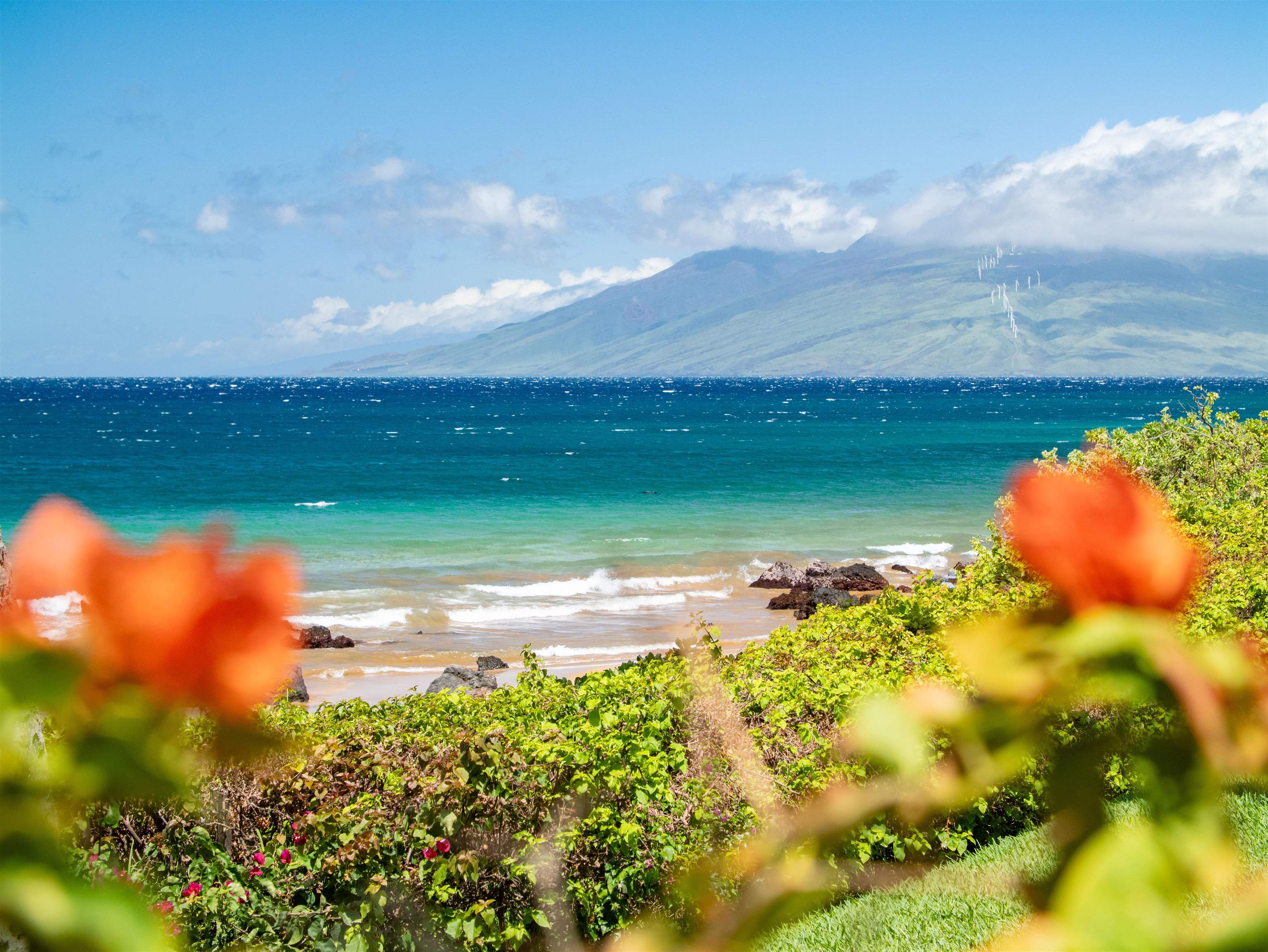 Makena Surf condo # B103, Kihei, Hawaii - photo 9 of 44