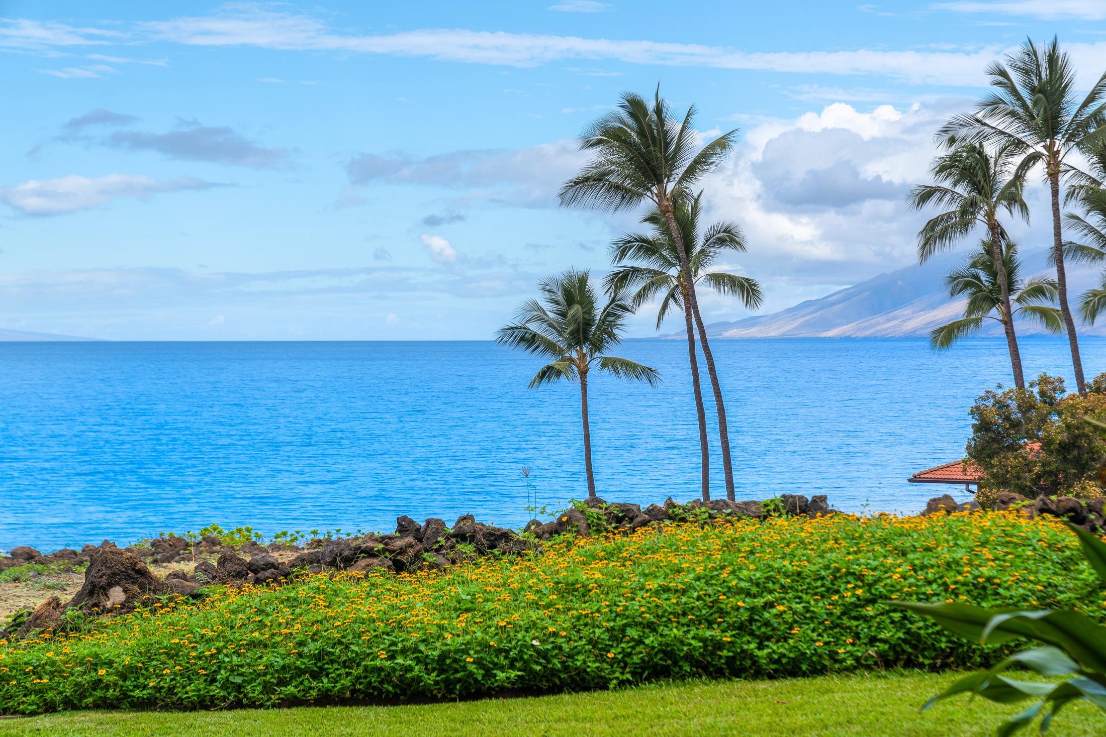 Makena Surf condo # C106, Kihei, Hawaii - photo 2 of 49