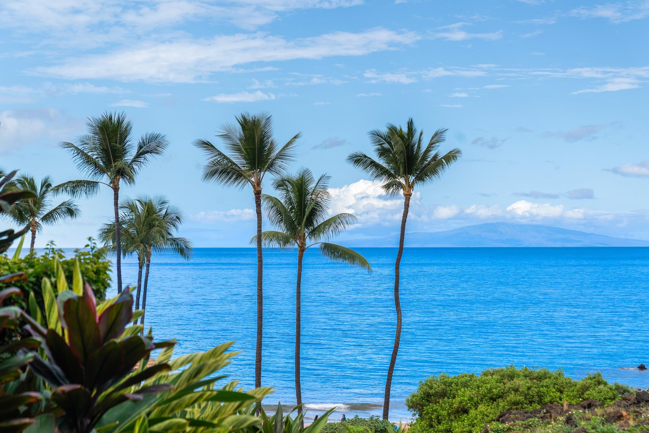 Makena Surf condo # C106, Kihei, Hawaii - photo 11 of 49