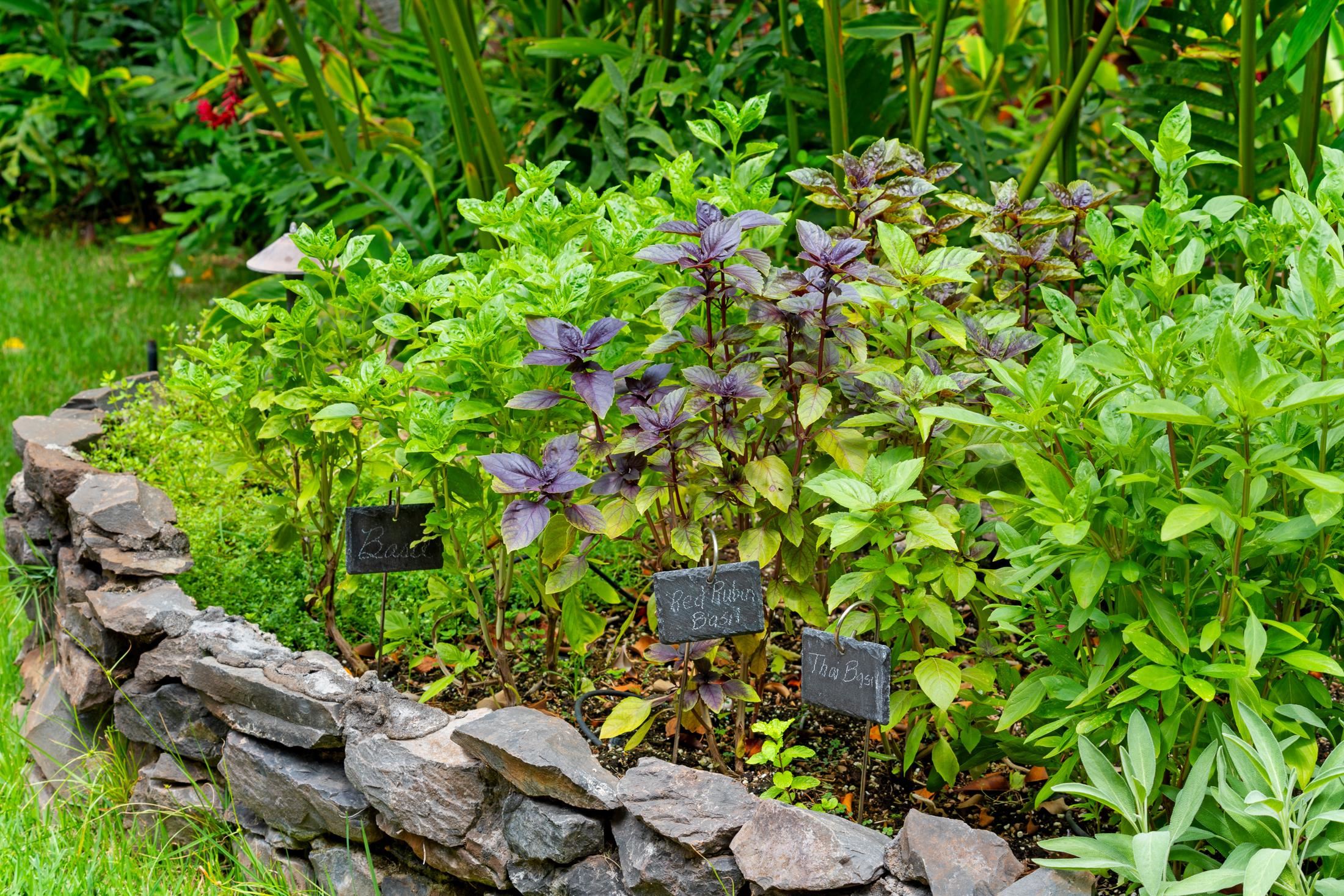 Makena Surf condo # C106, Kihei, Hawaii - photo 43 of 49