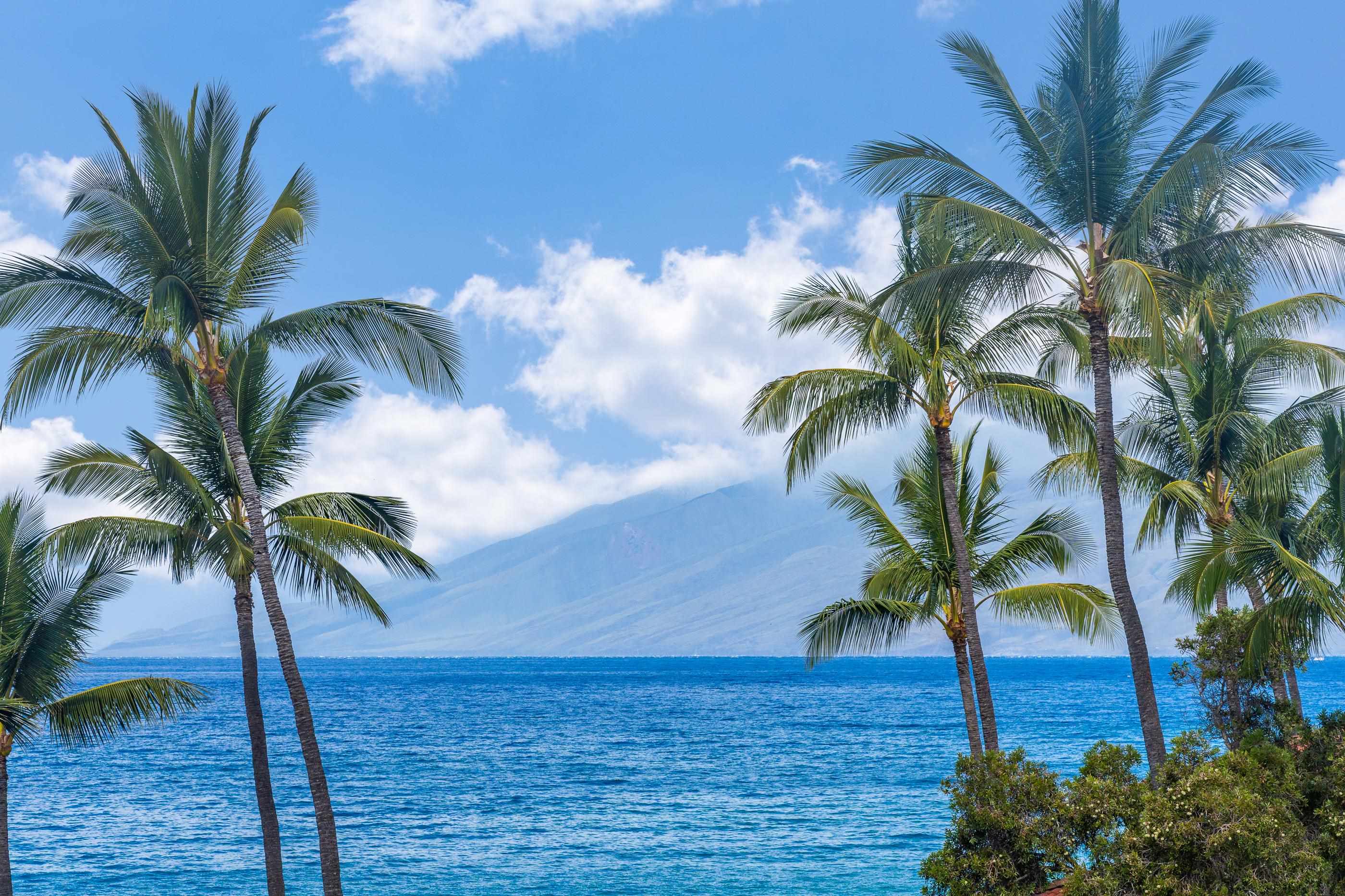 Makena Surf condo # C106, Kihei, Hawaii - photo 7 of 50