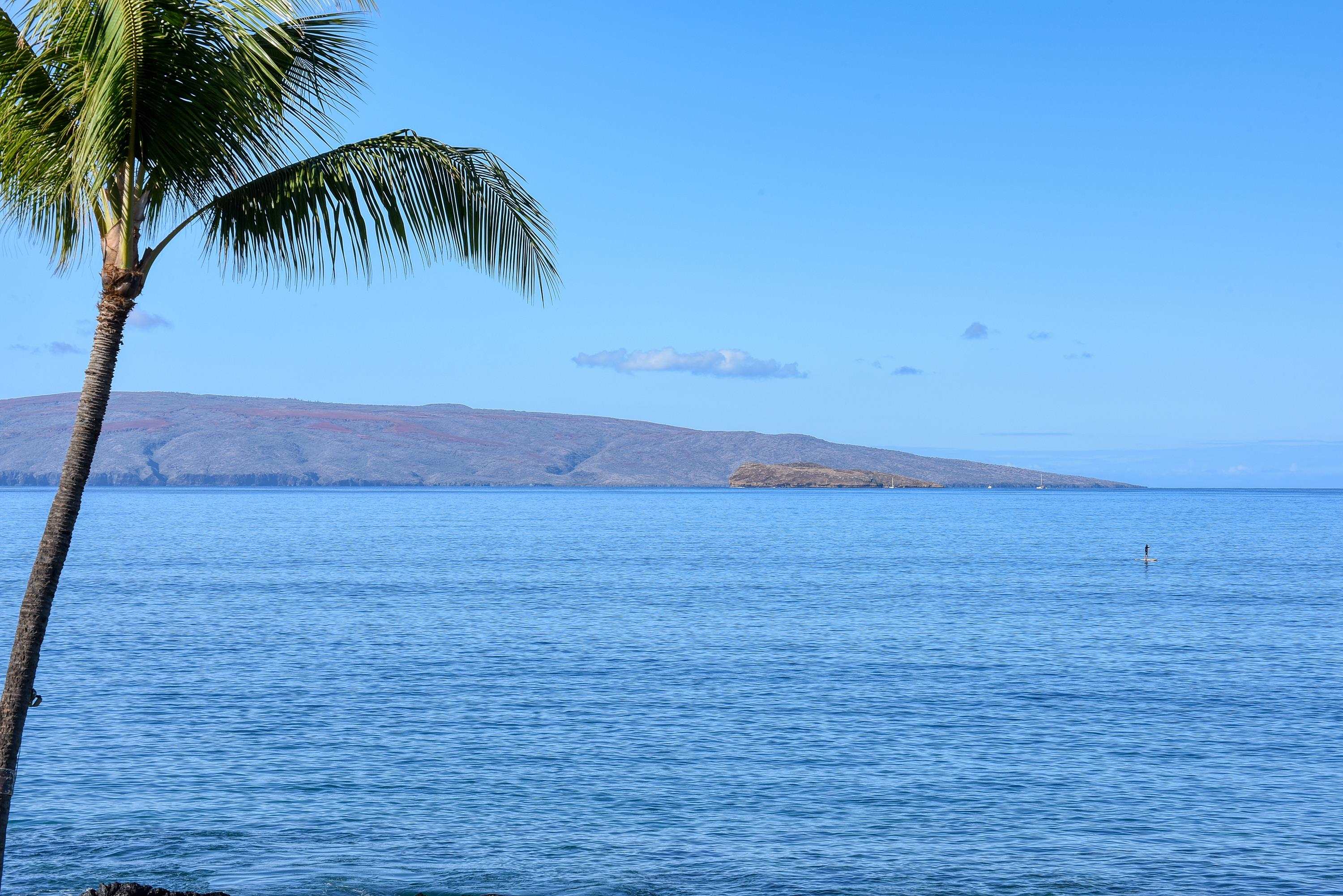 Makena Surf condo # F207, Kihei, Hawaii - photo 40 of 49