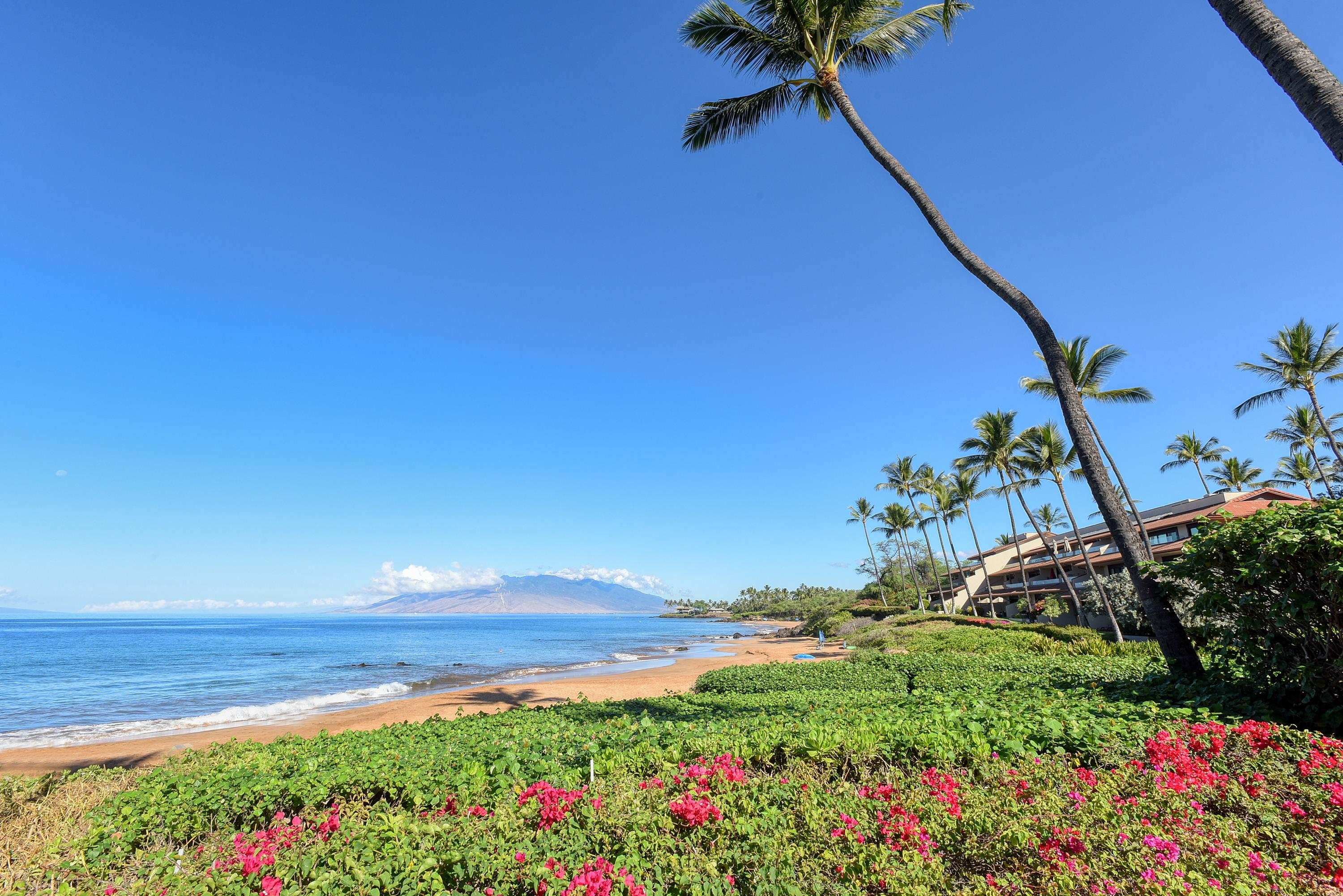 Makena Surf condo # F207, Kihei, Hawaii - photo 45 of 49