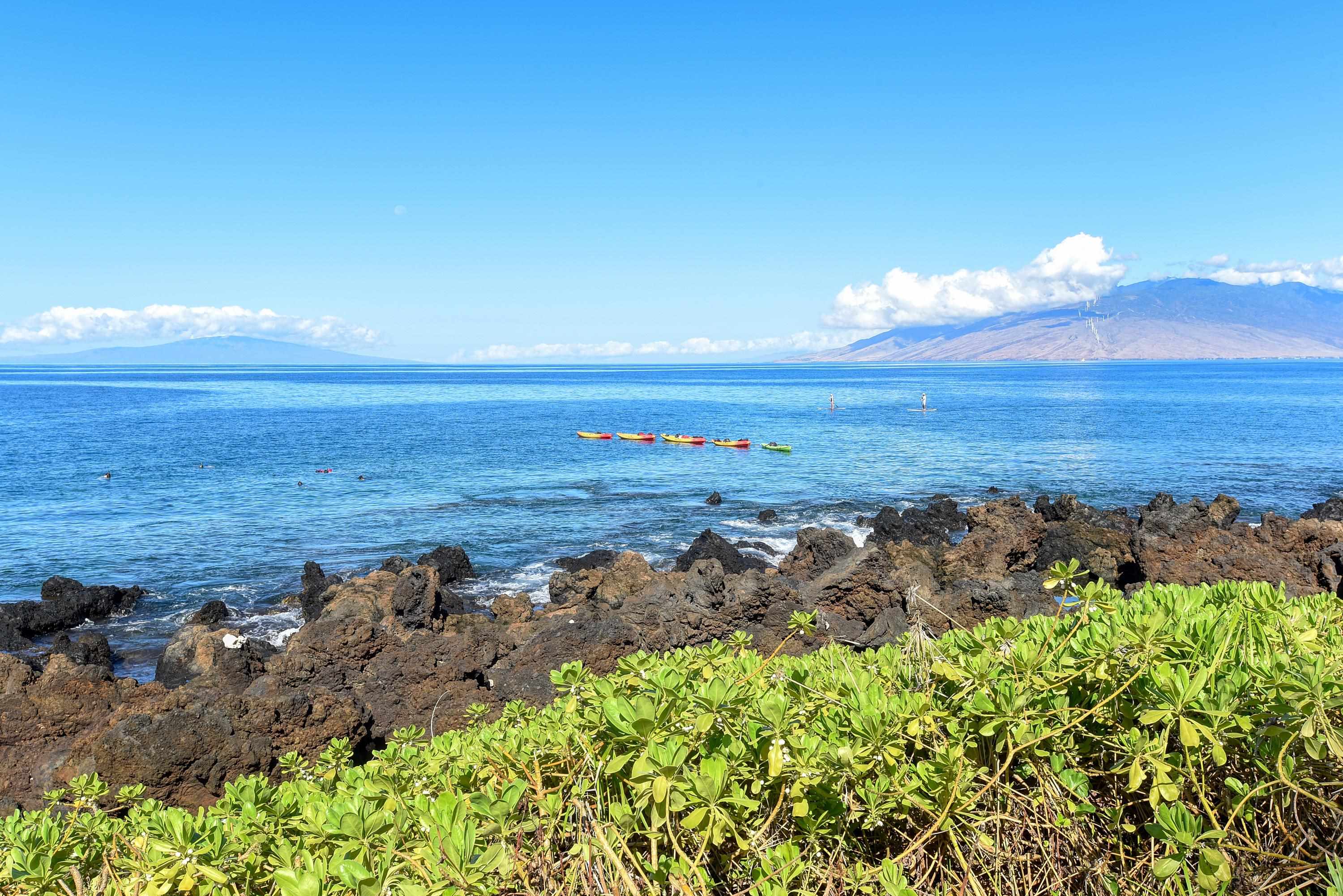 Makena Surf condo # F207, Kihei, Hawaii - photo 48 of 49